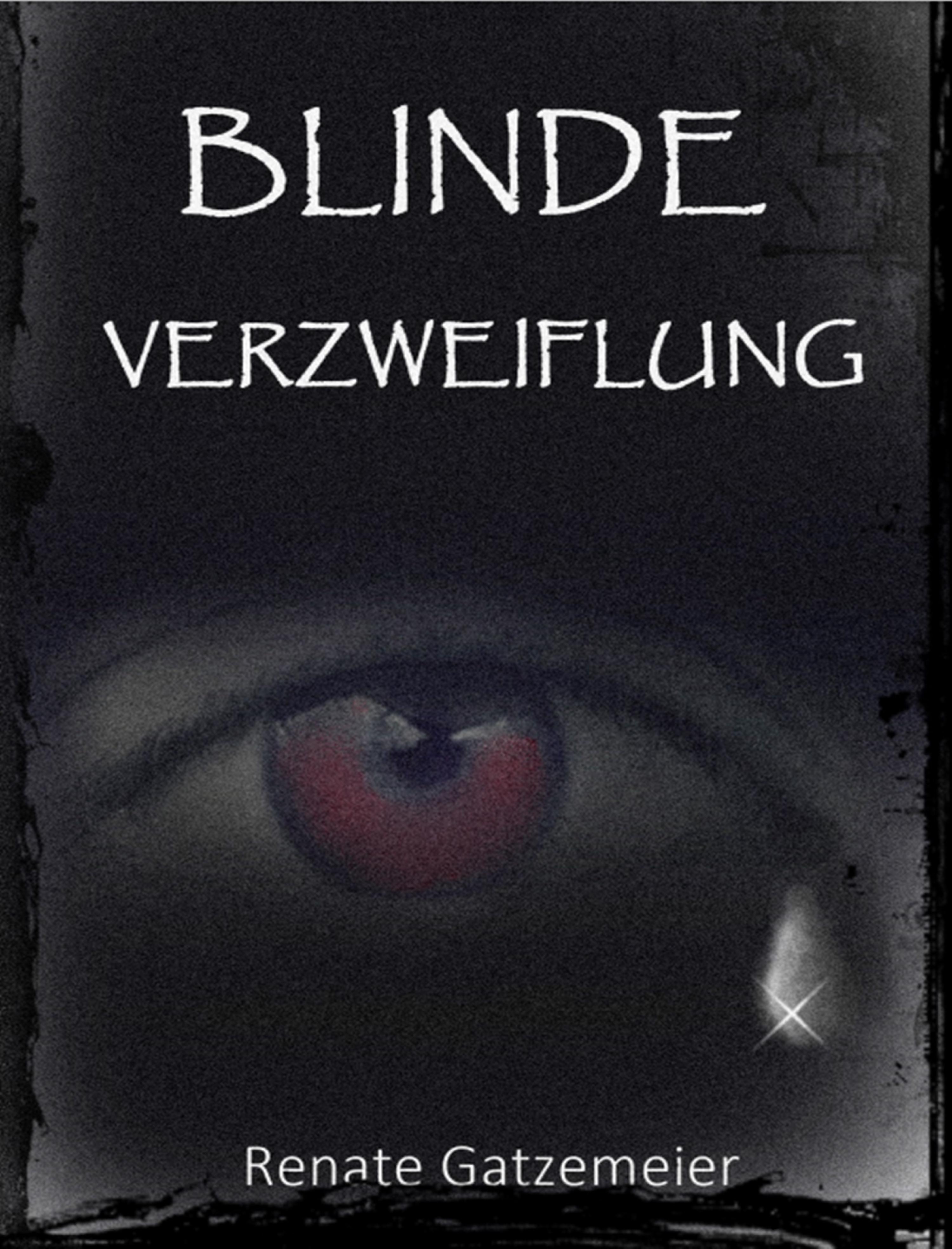Обложка книги «Blinde Verzweiflung»