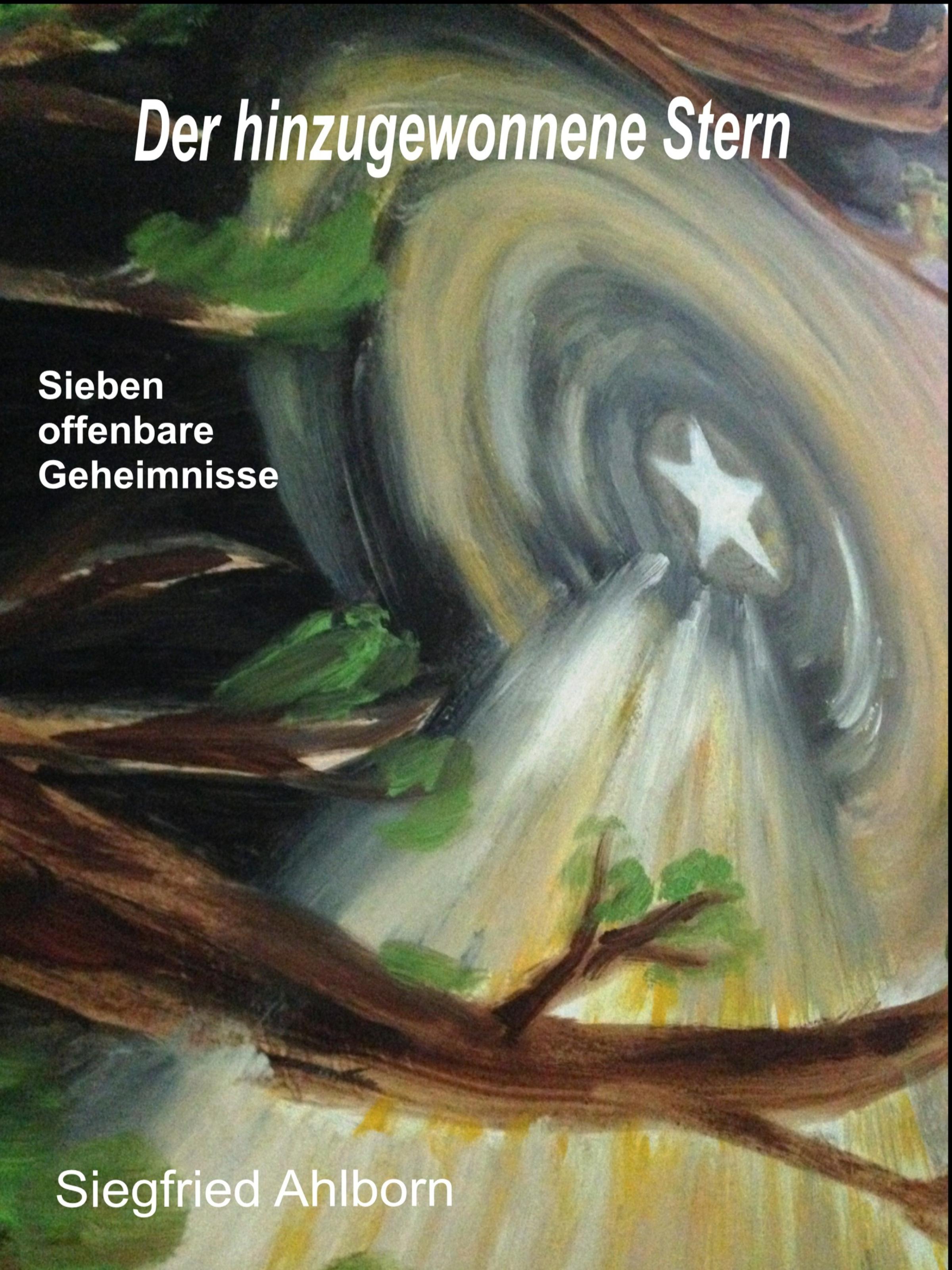Обложка книги «Der hinzugewonnene Stern»