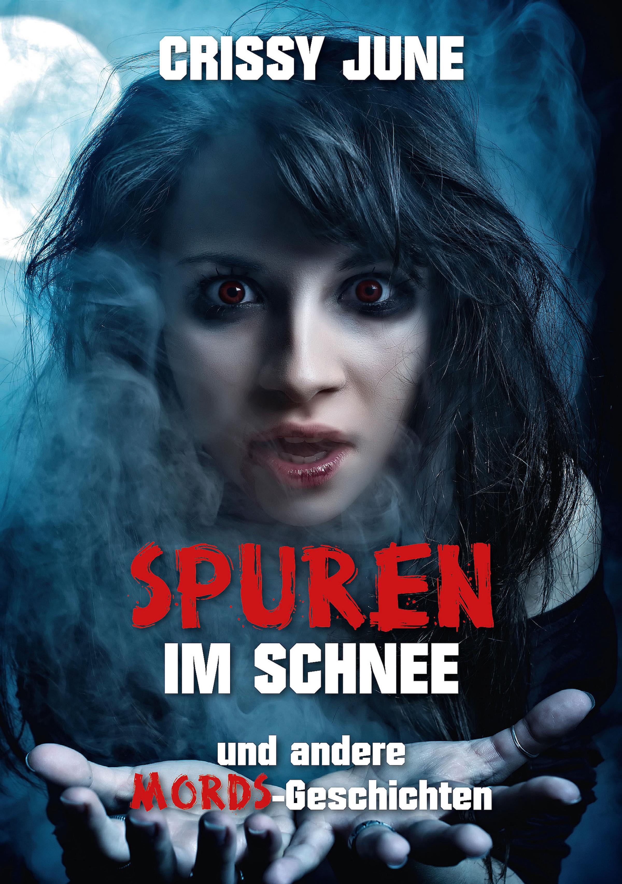 Обложка книги «Spuren im Schnee»