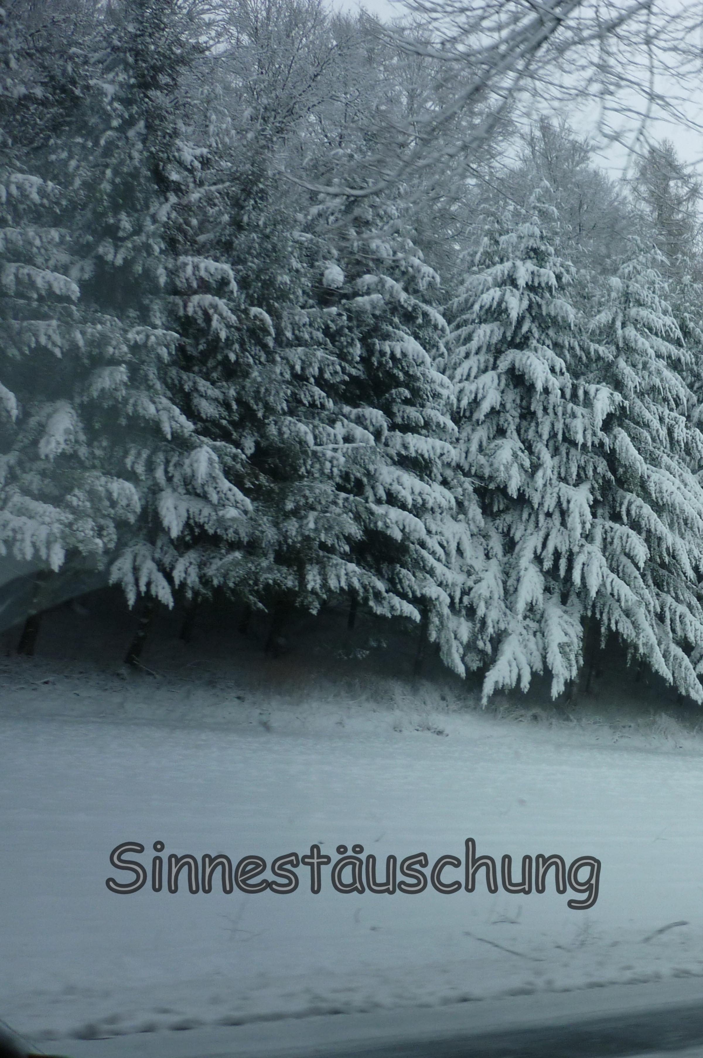 Обложка книги «Sinnestäuschung»