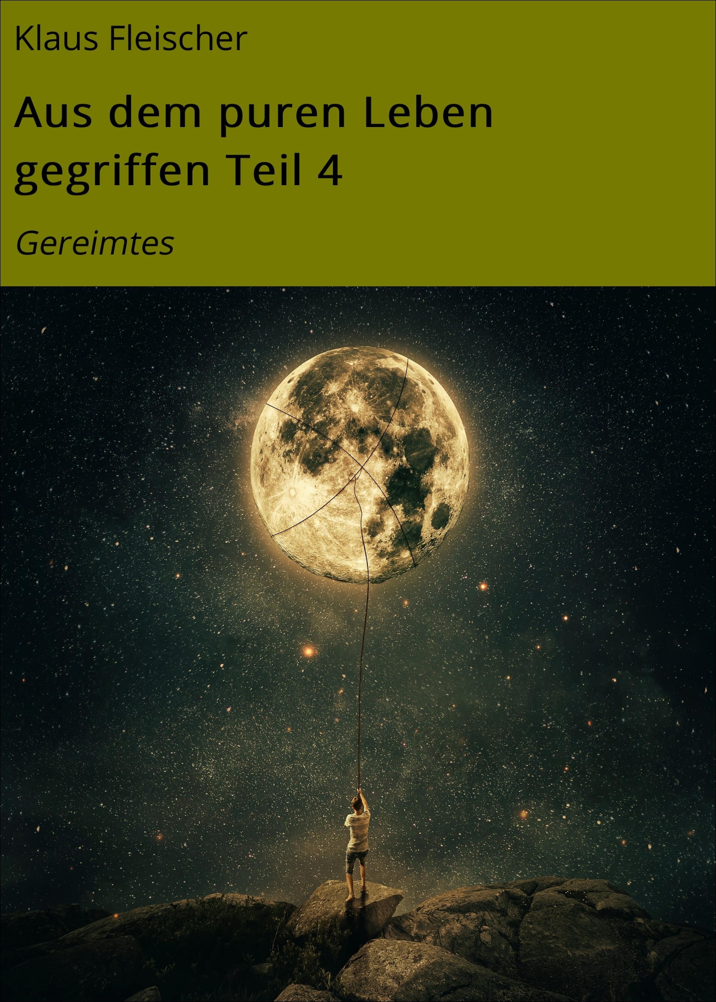 Обложка книги «Aus dem puren Leben gegriffen Teil 4»