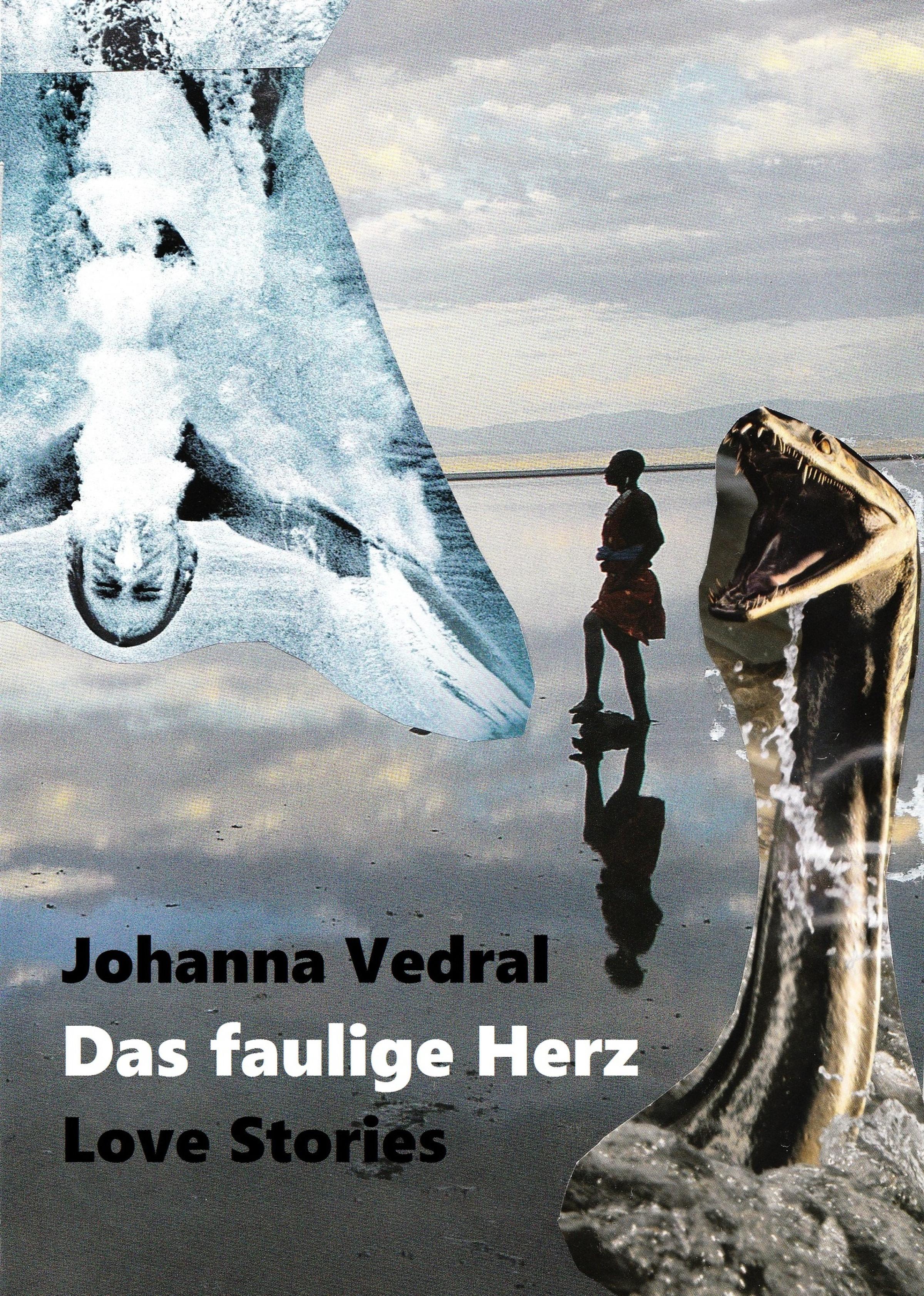 Обложка книги «Das faulige Herz»