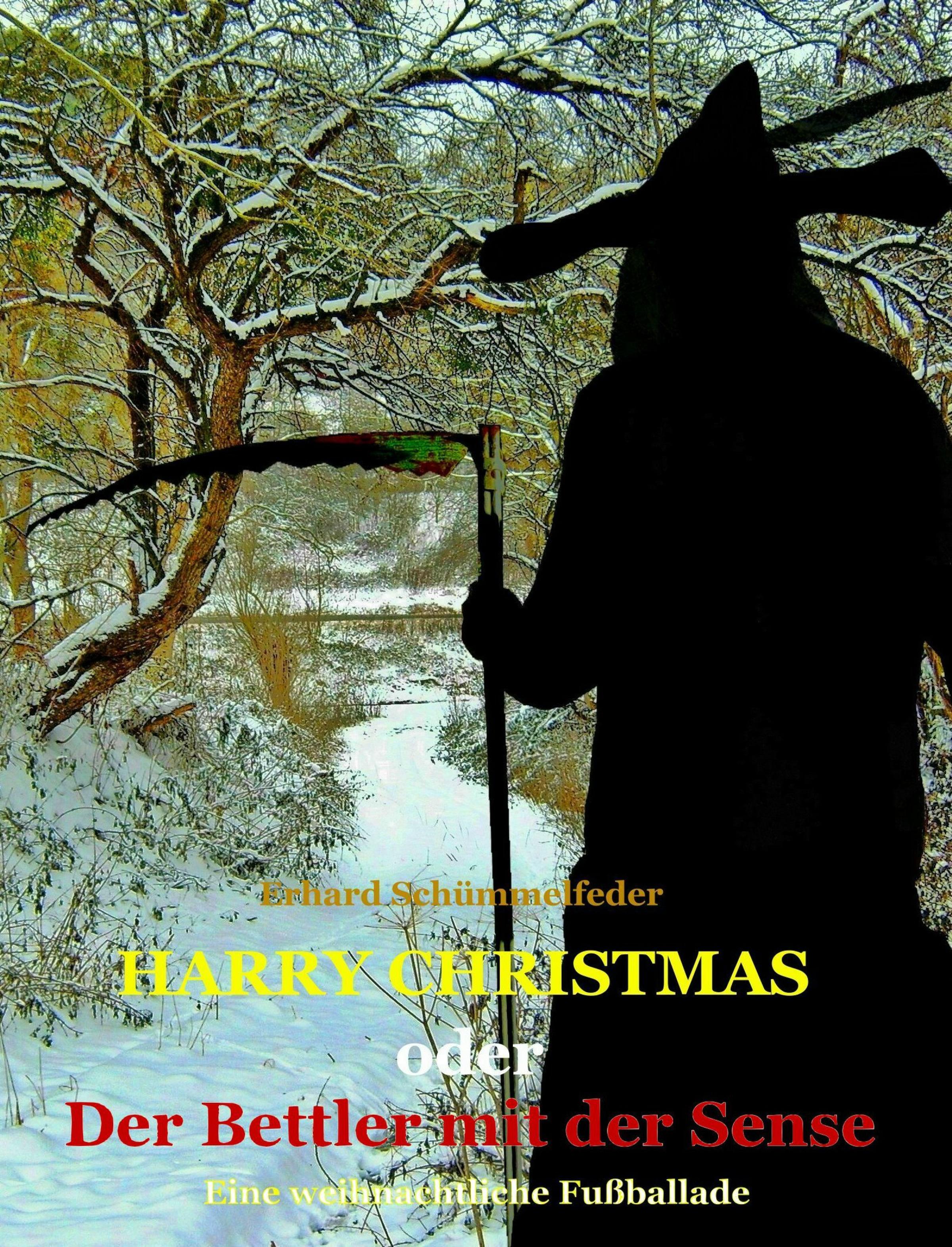 Обложка книги «HARRY CHRISTMAS»