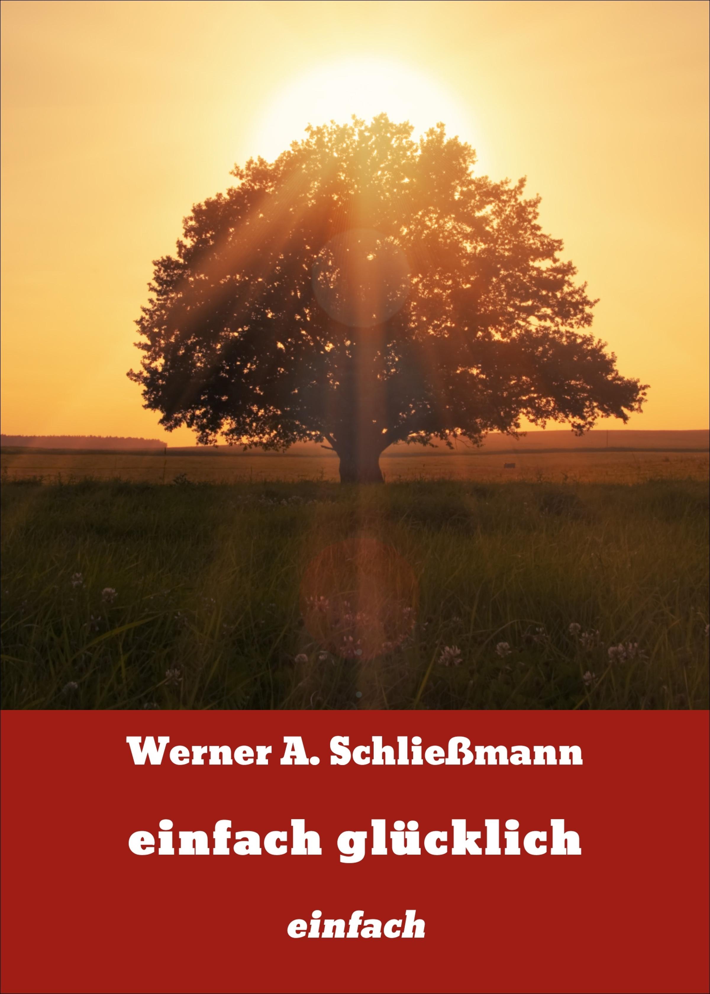 Обложка книги «einfach glücklich»