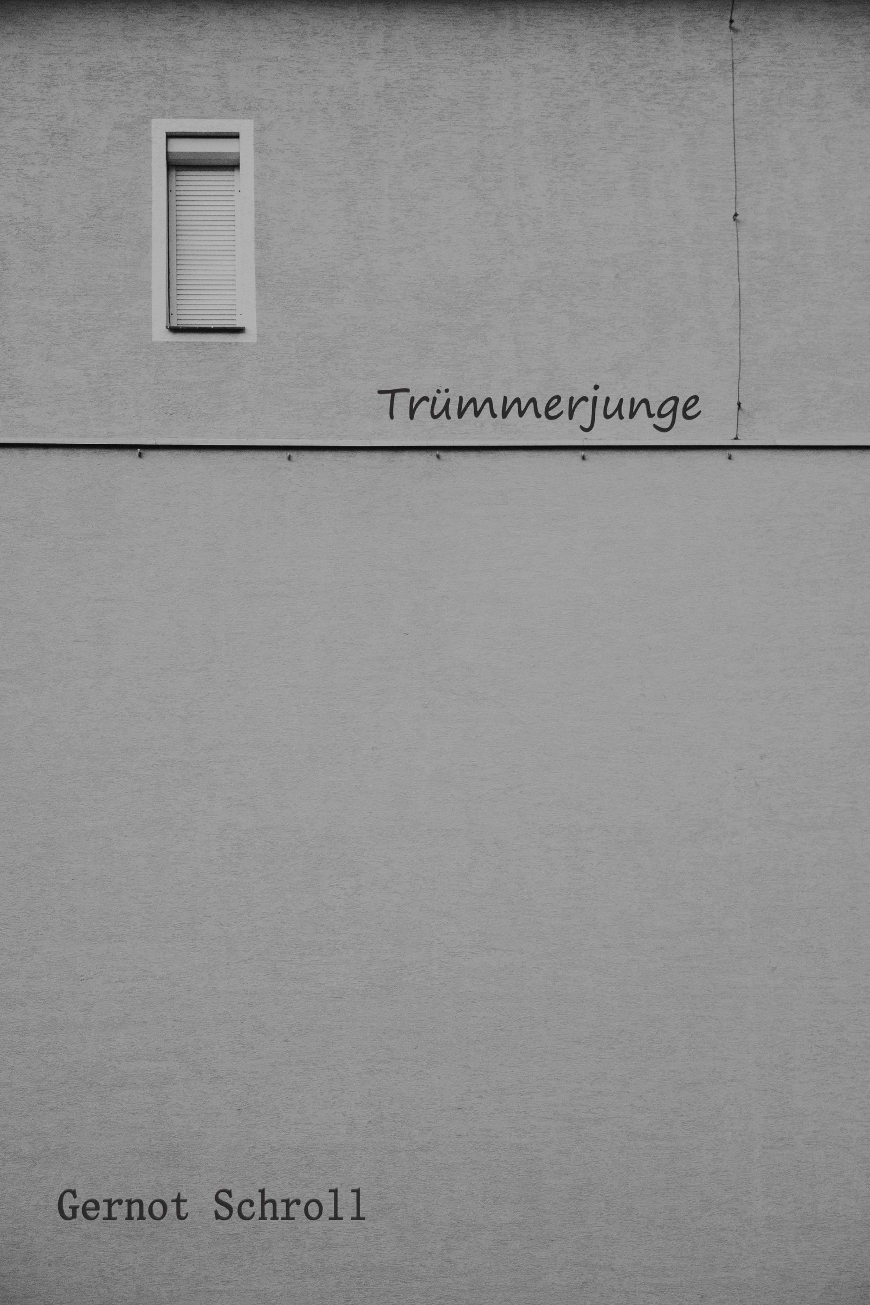 Обложка книги «Trümmerjunge»