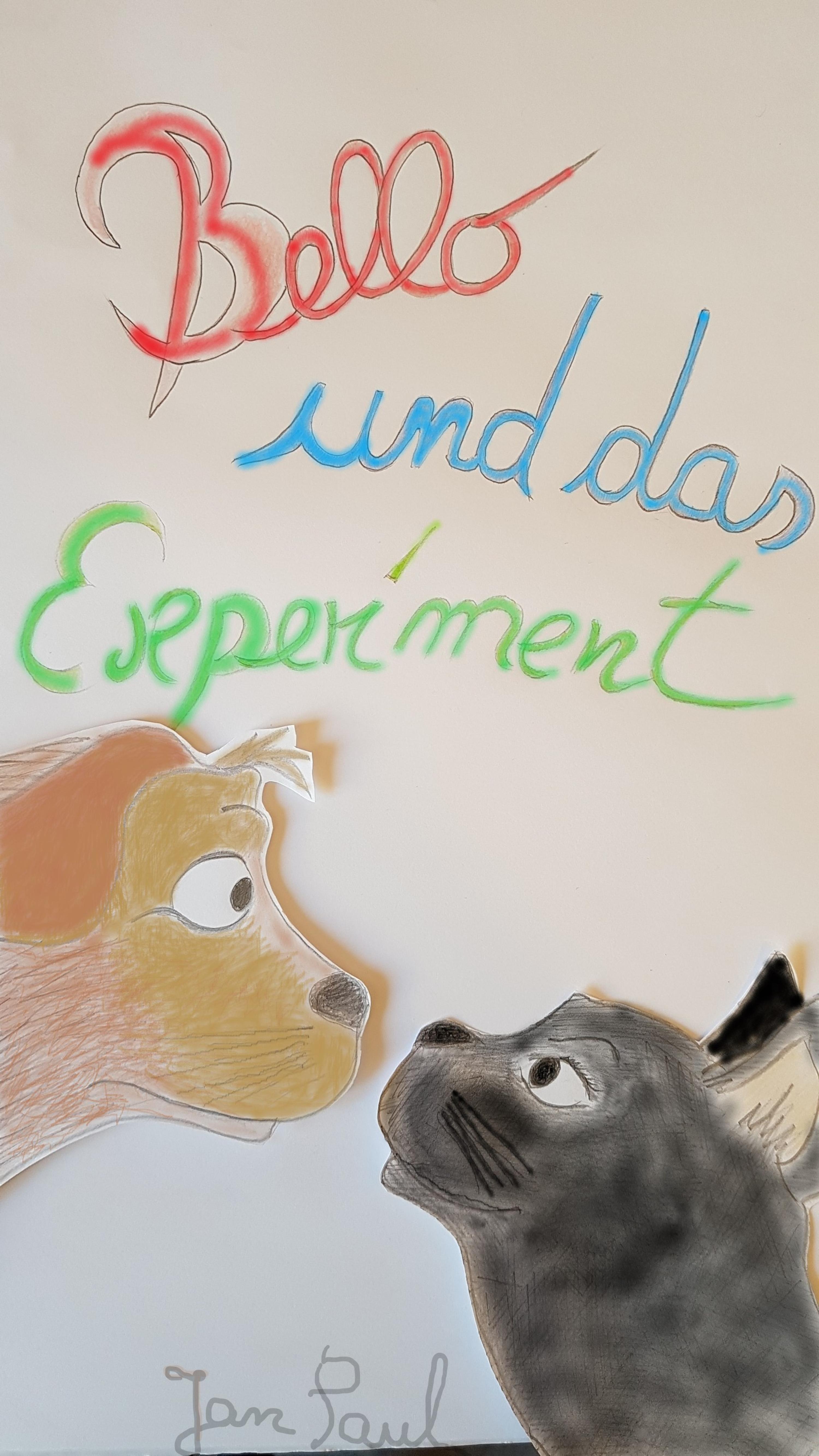 Обложка книги «Bello und das Experiment»