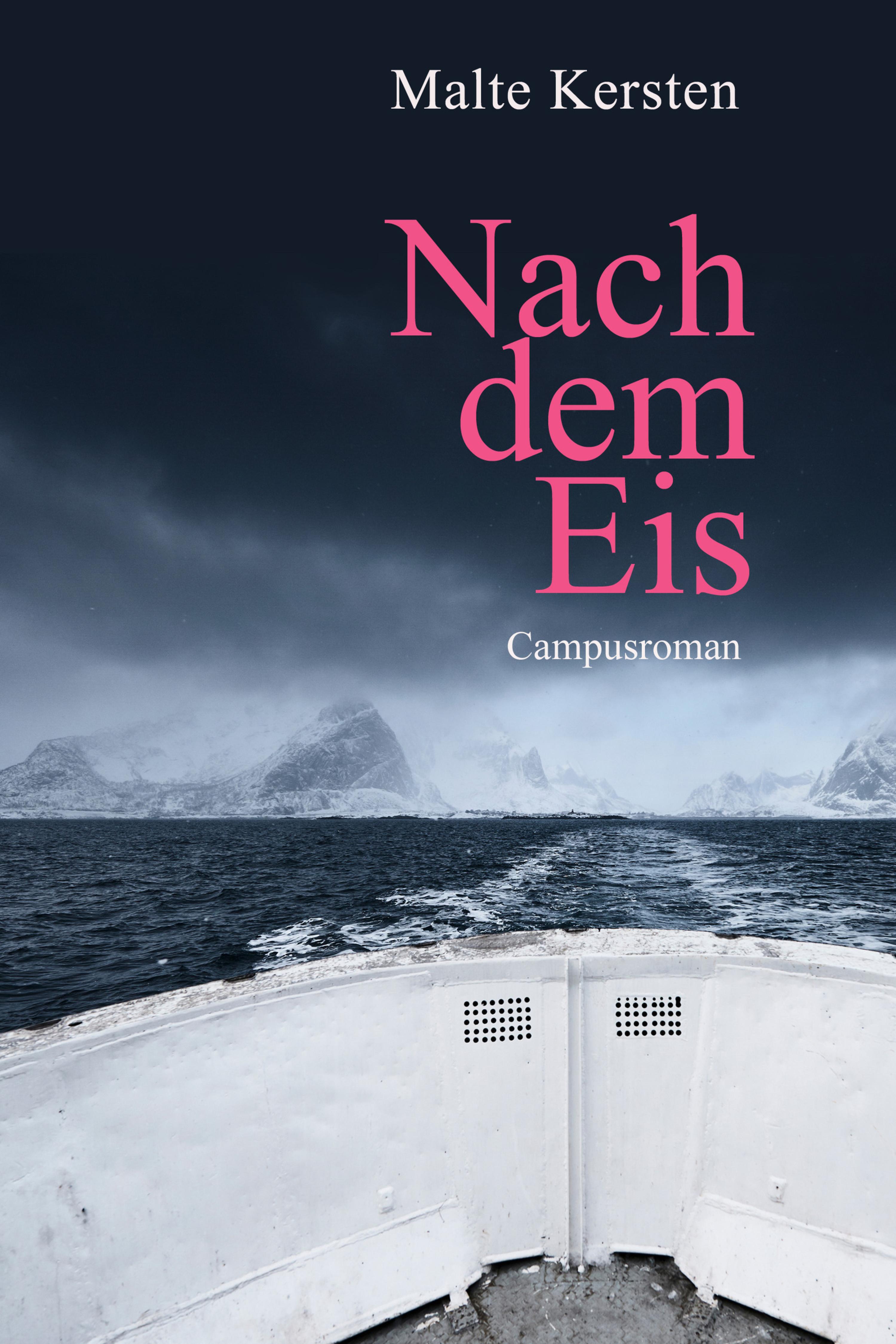 Обложка книги «Nach dem Eis»
