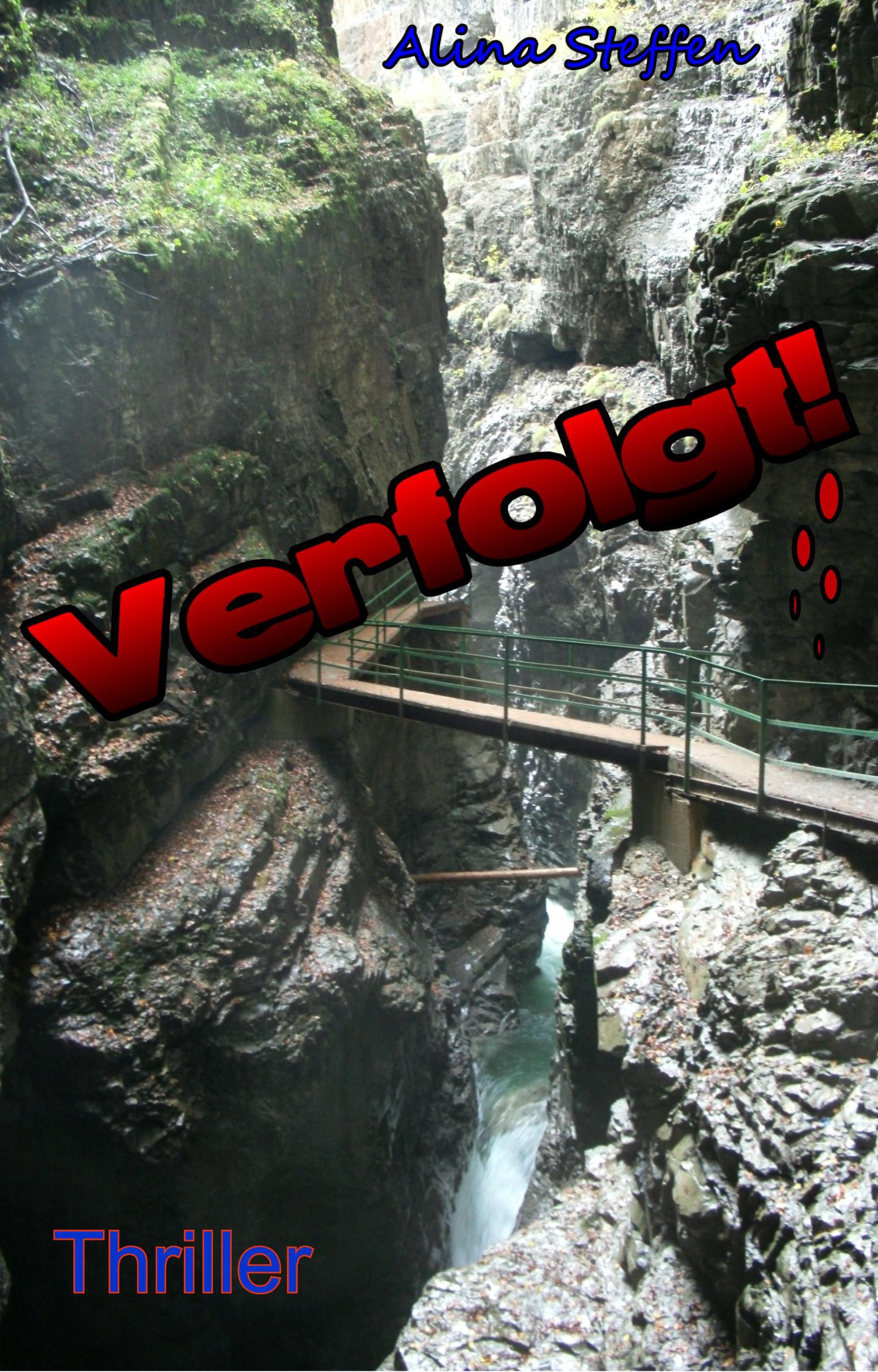 Обложка книги «Verfolgt!»
