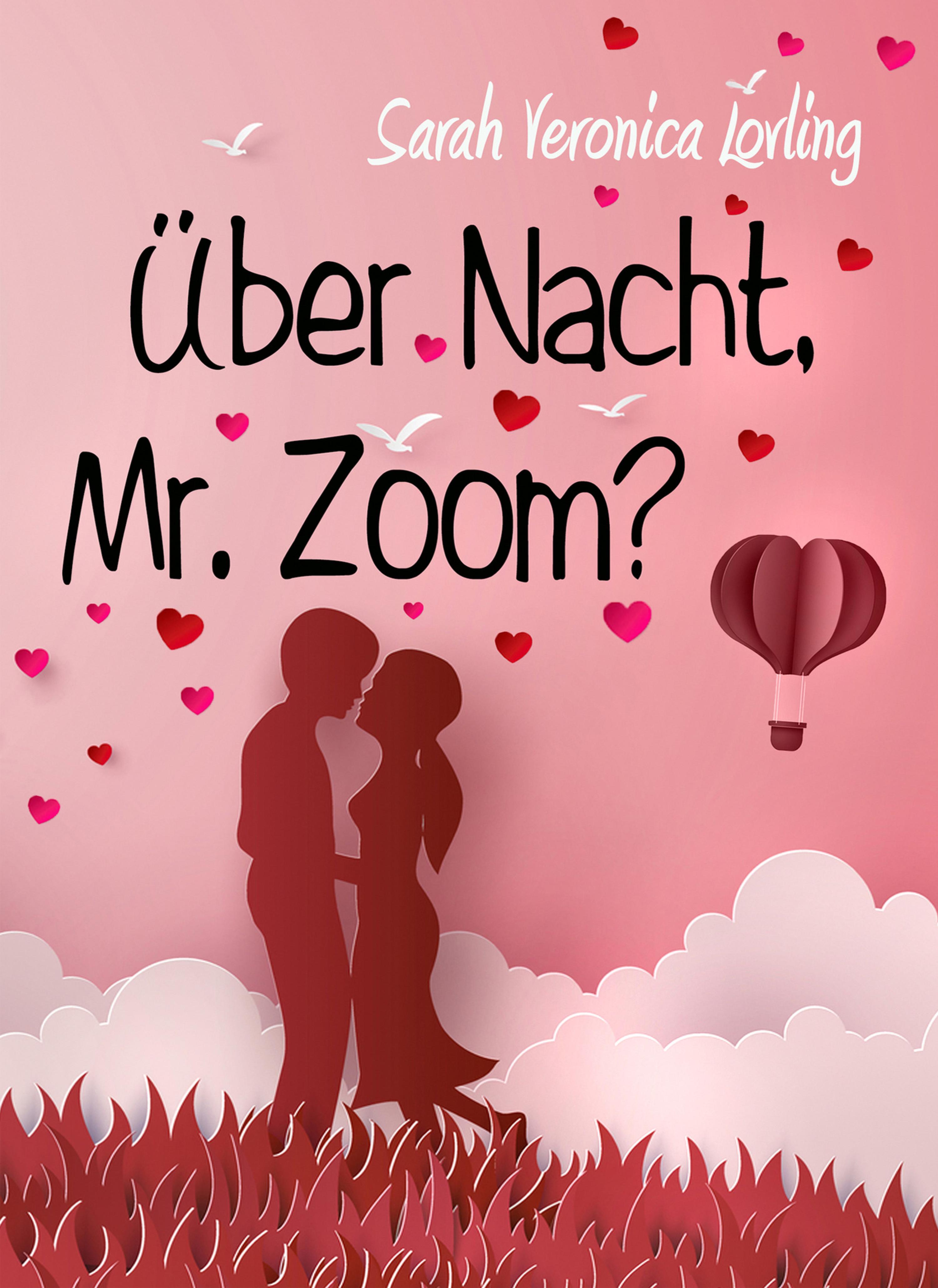 Обложка книги «Über Nacht, Mr. Zoom?»