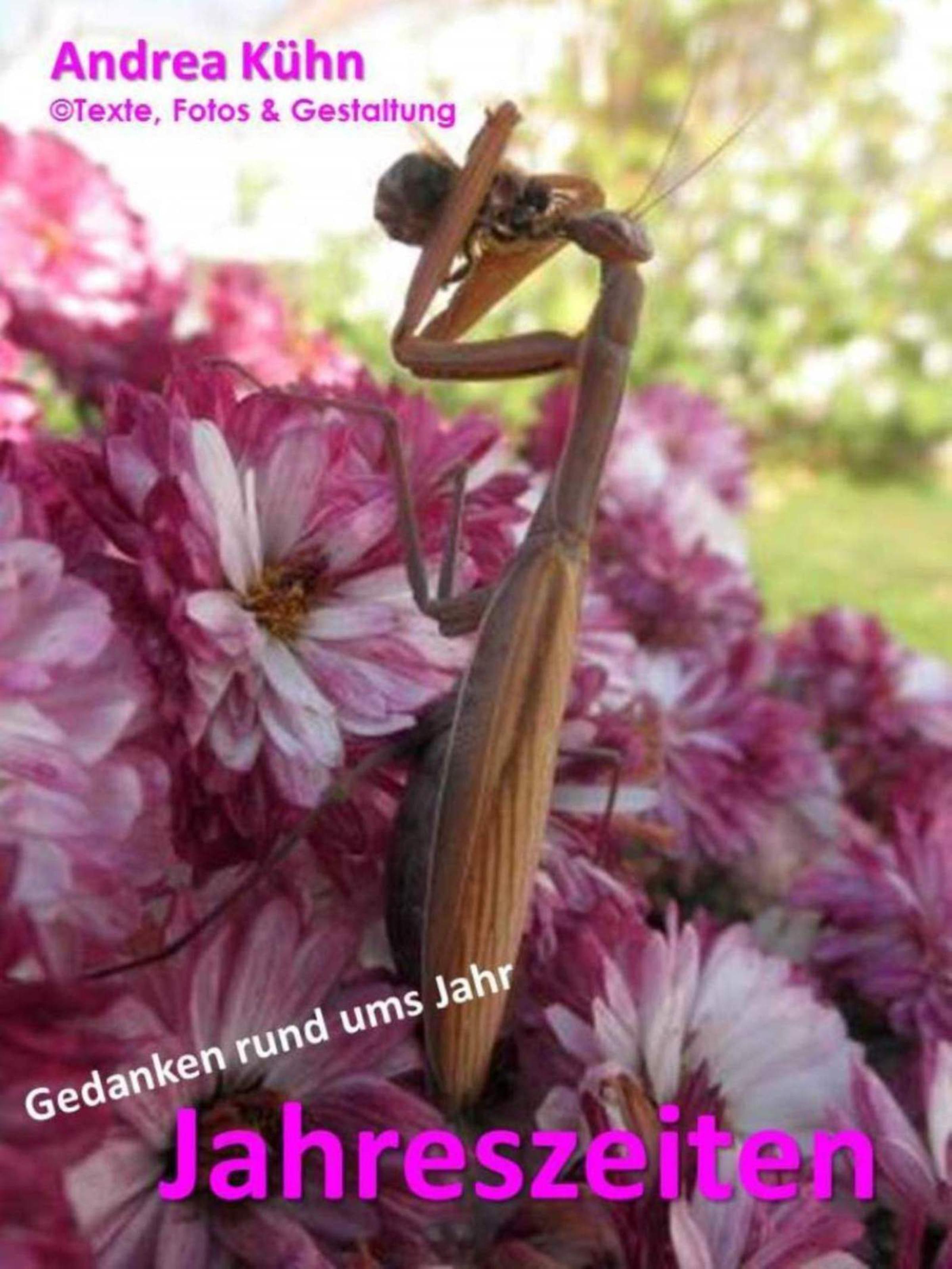 Обложка книги «Jahreszeiten»