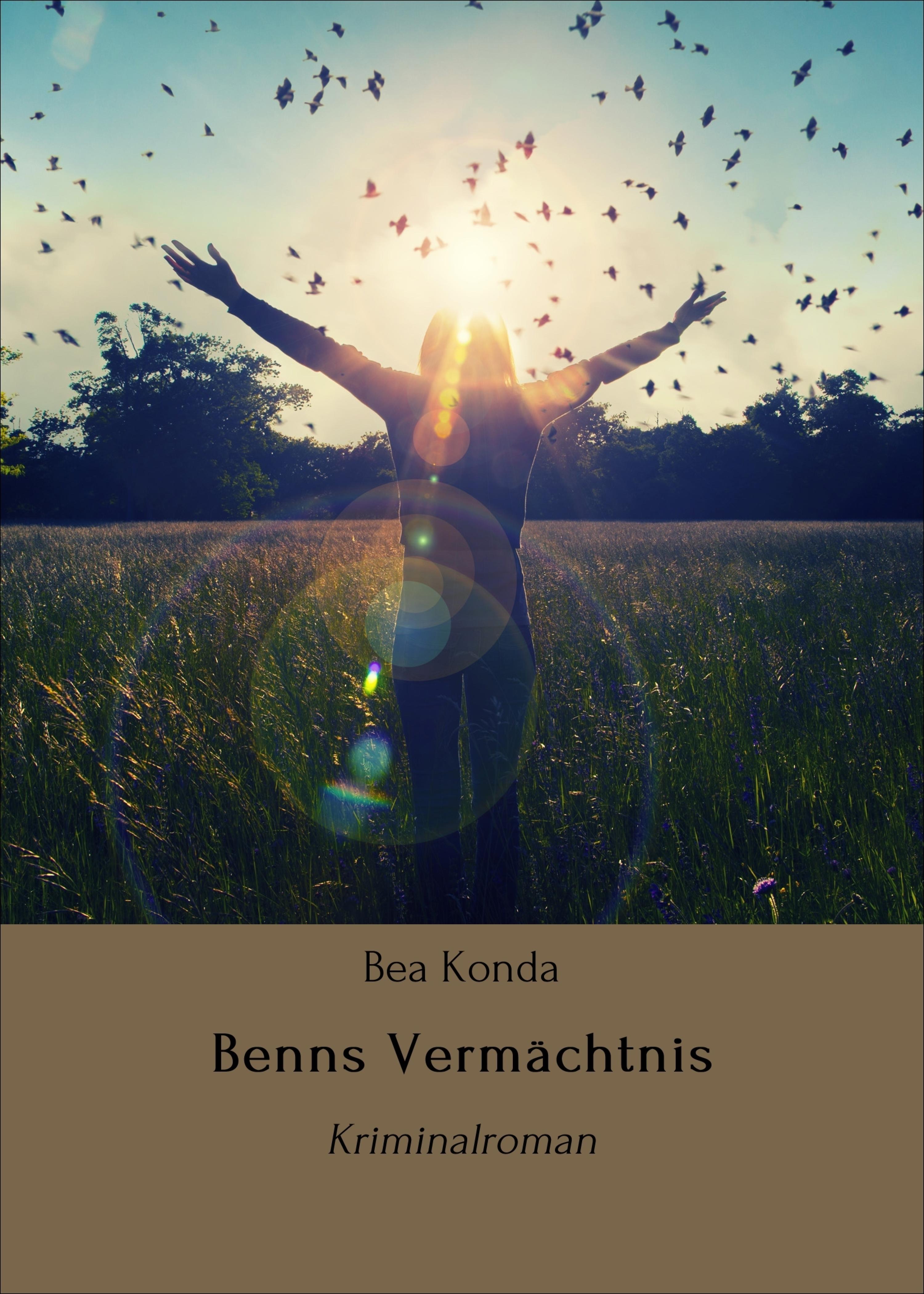 Обложка книги «Benns Vermächtnis»