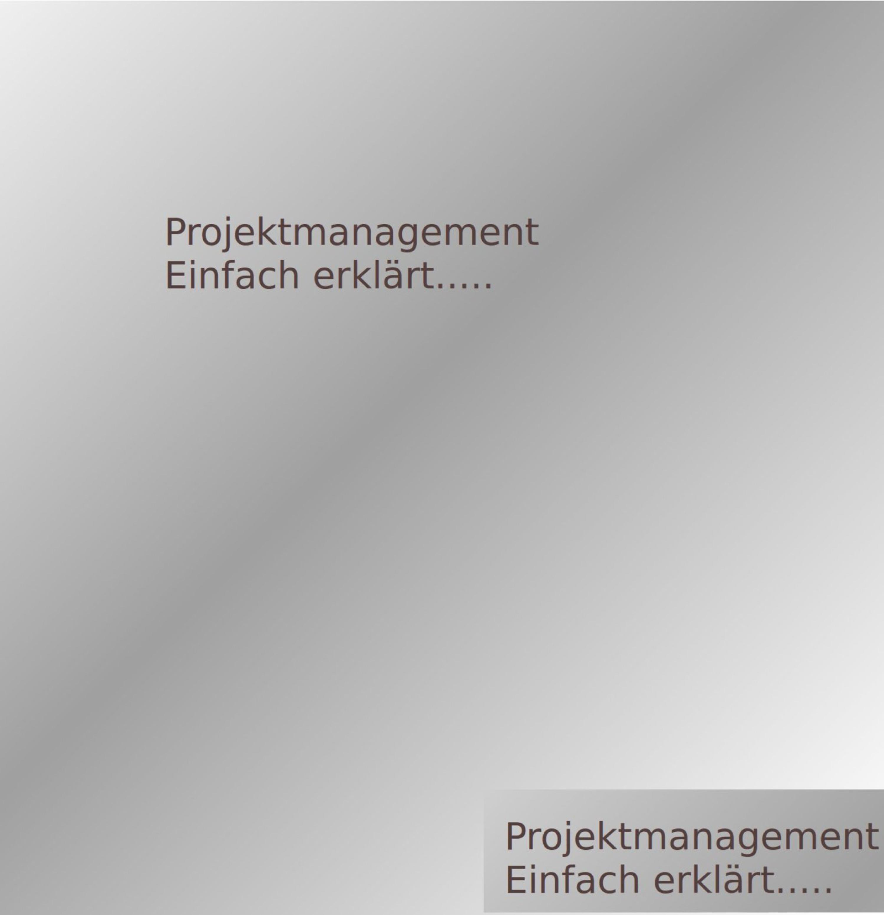 Обложка книги «Projektmanagement»