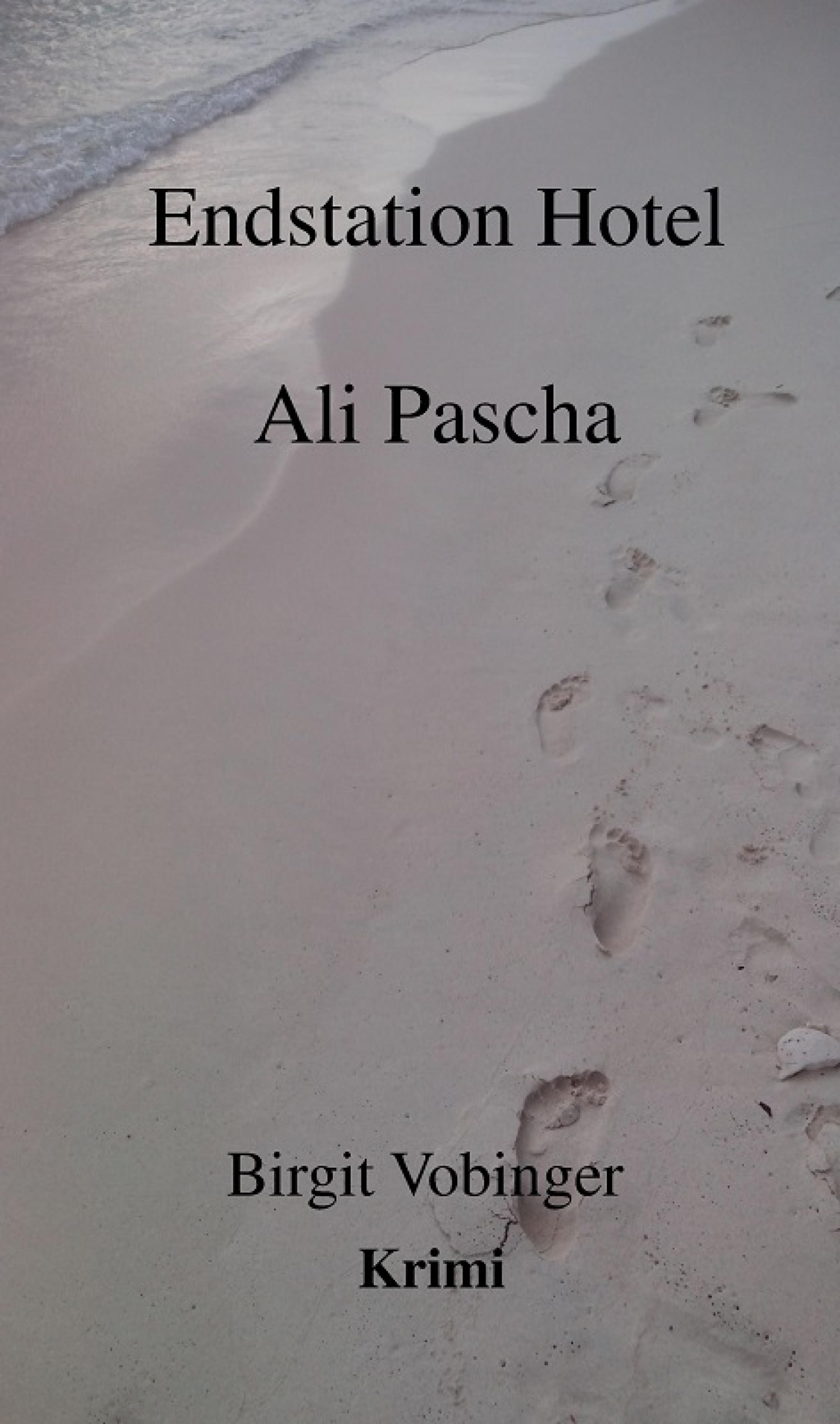 Обложка книги «EndstationHotel Ali Pascha»