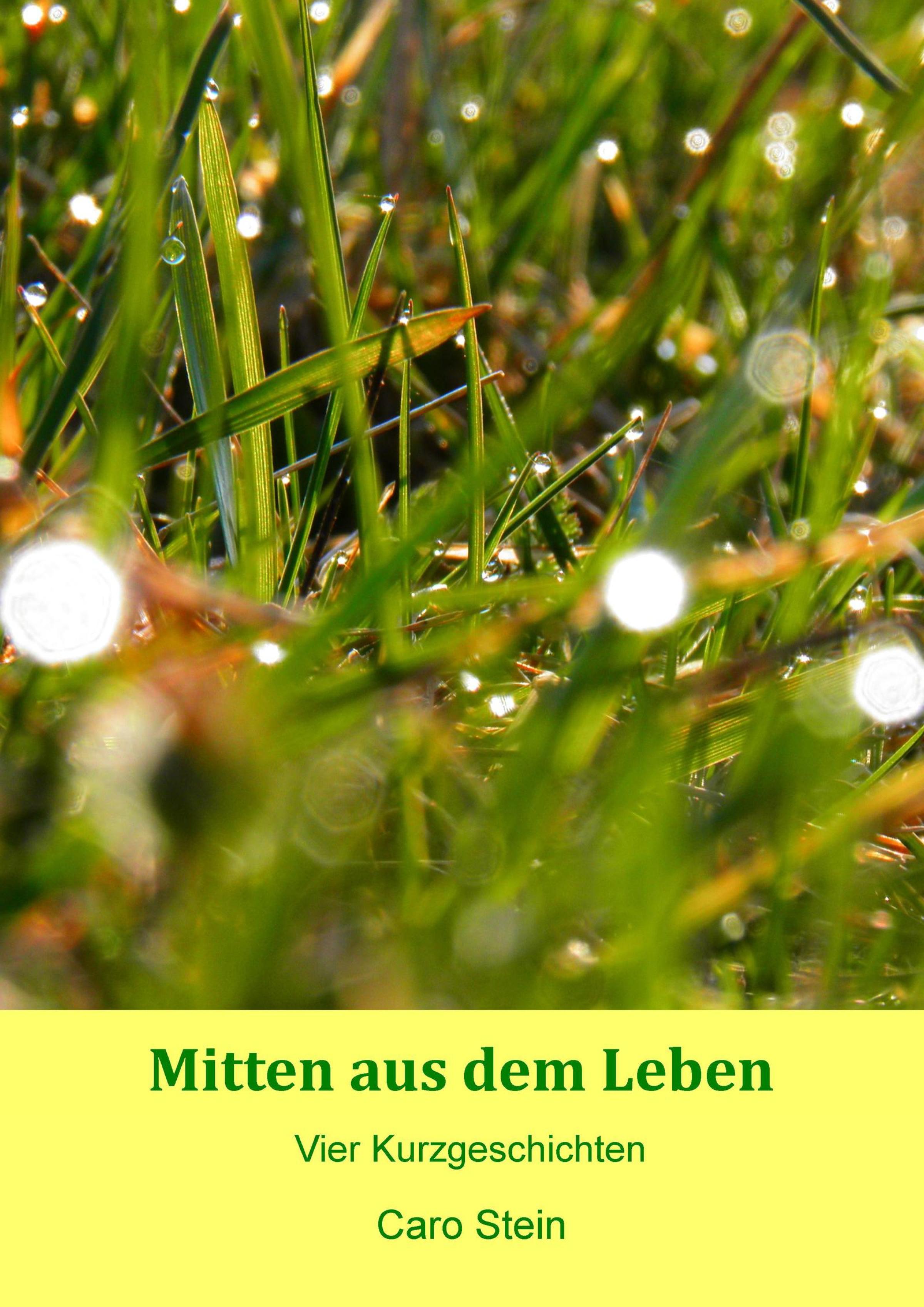 Обложка книги «Mitten aus dem Leben»