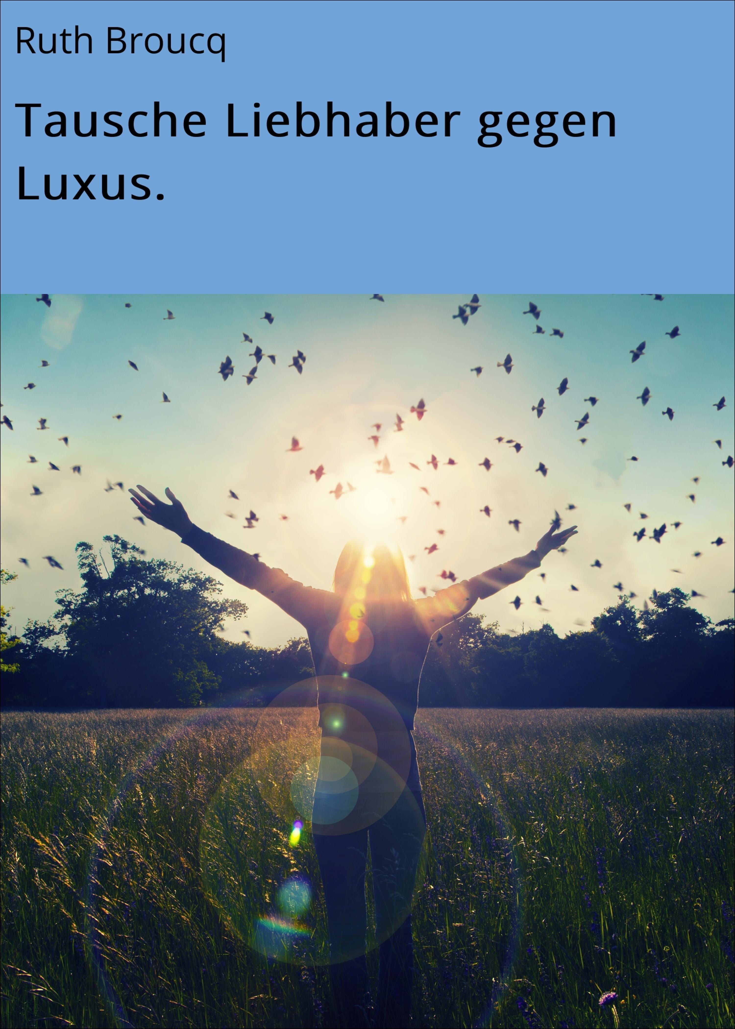 Обложка книги «Tausche Liebhaber gegen Luxus.»
