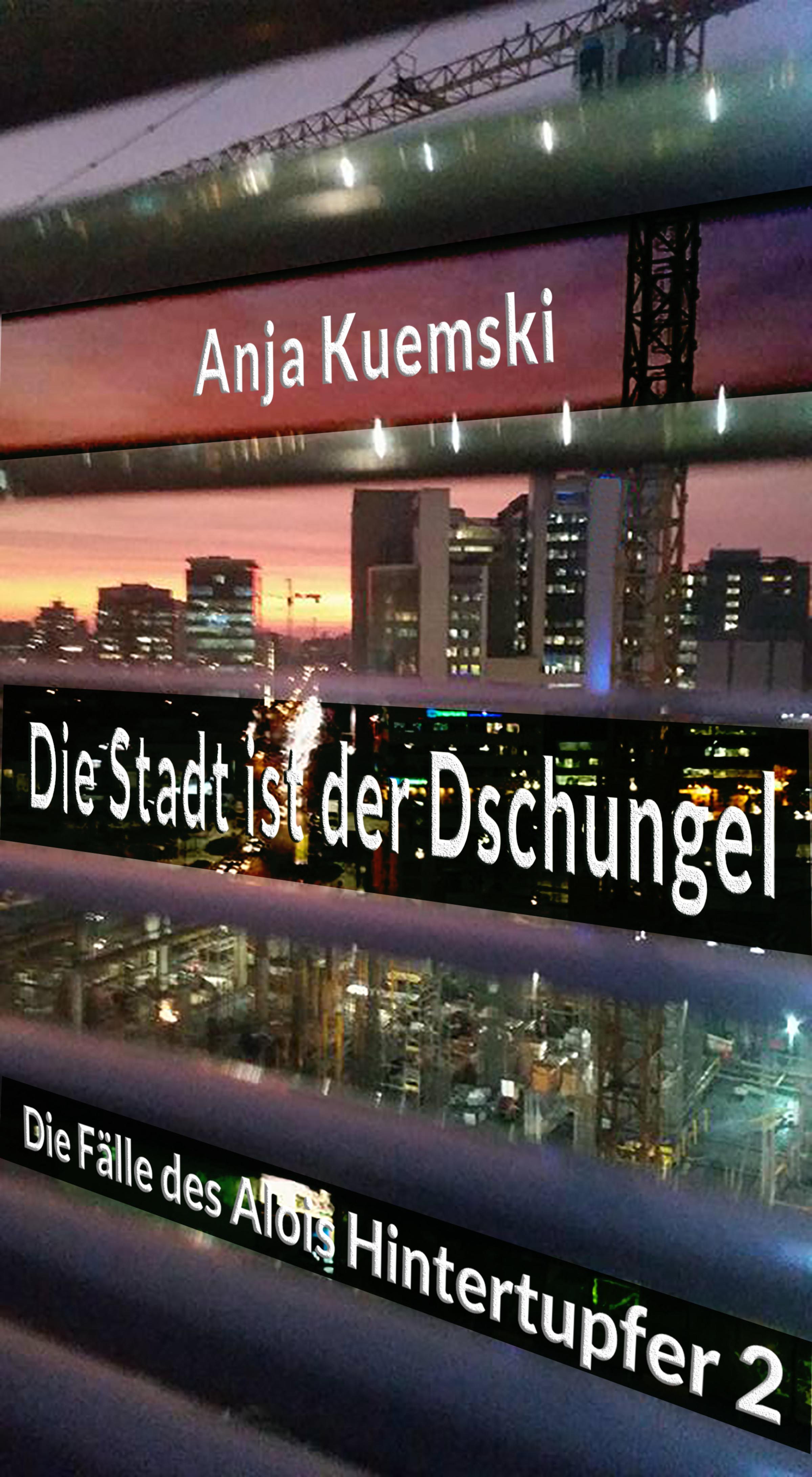 Обложка книги «Die Stadt ist der Dschungel»