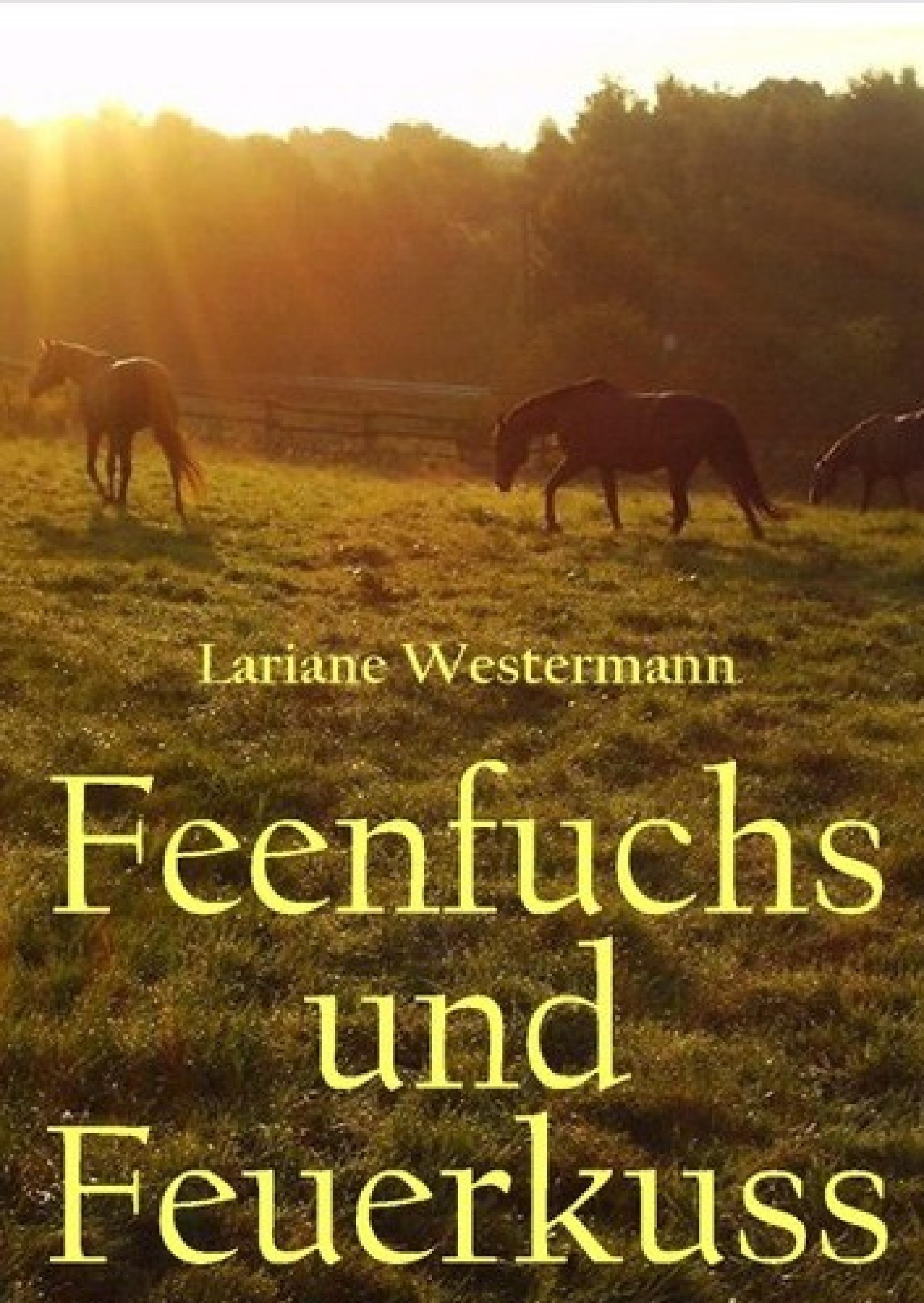 Обложка книги «Feenfuchs und Feuerkuss»