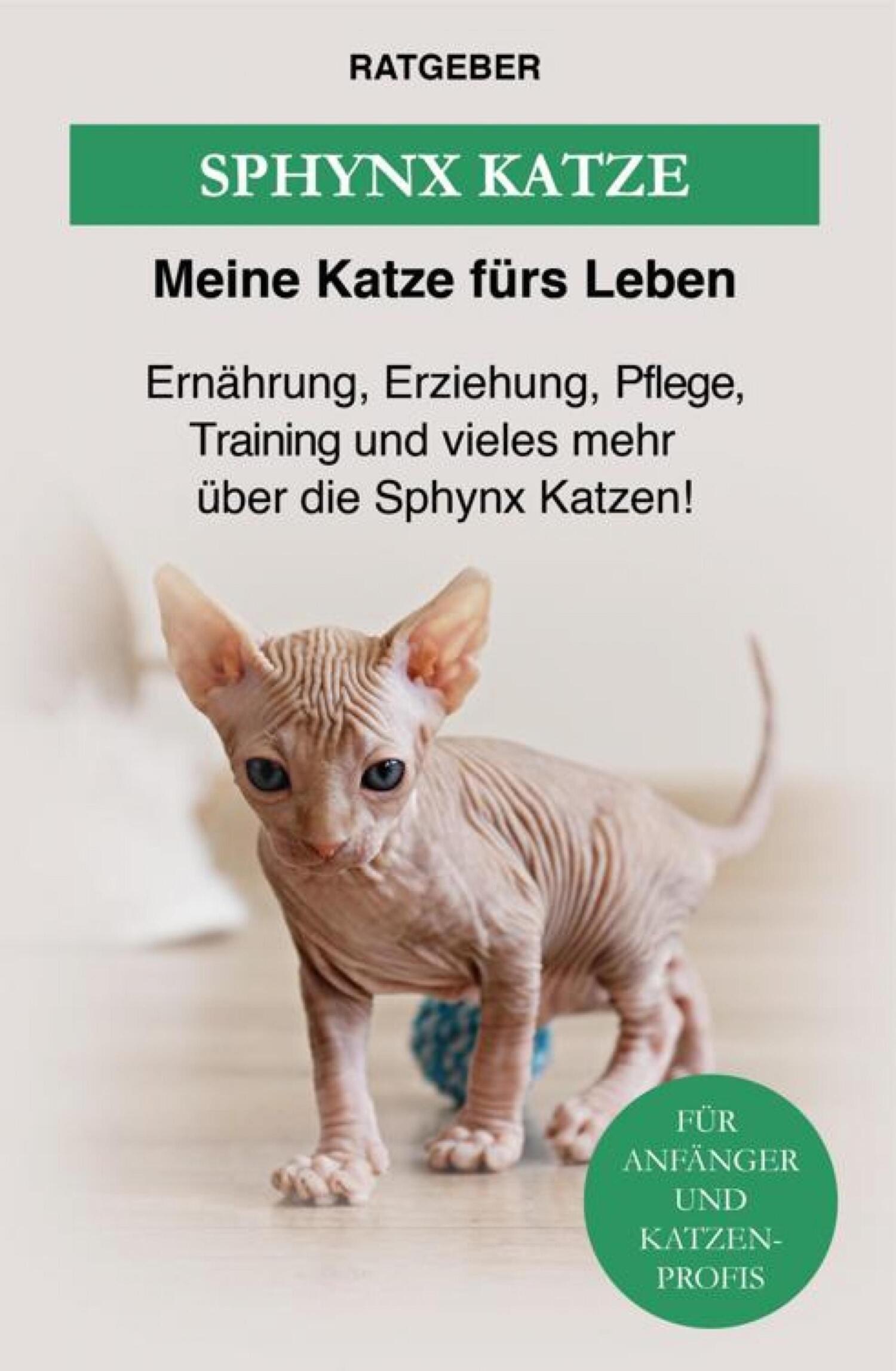 Обложка книги «Sphynx Katze»