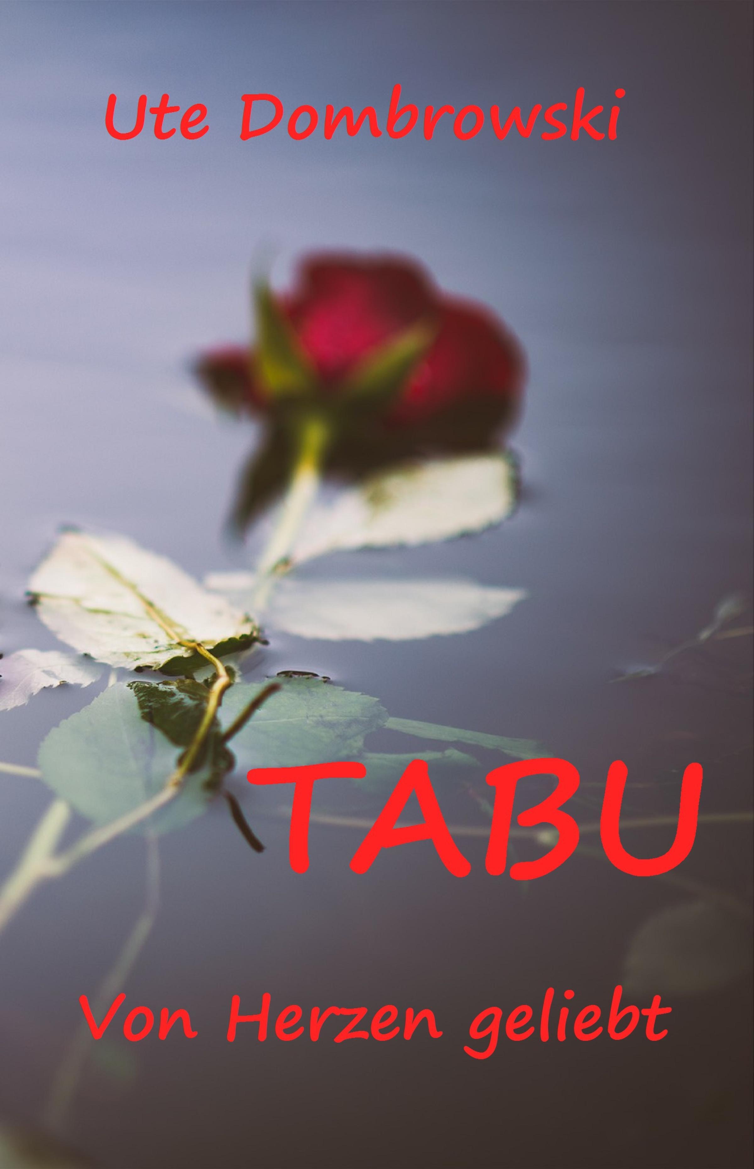 Обложка книги «Tabu Von Herzen geliebt»