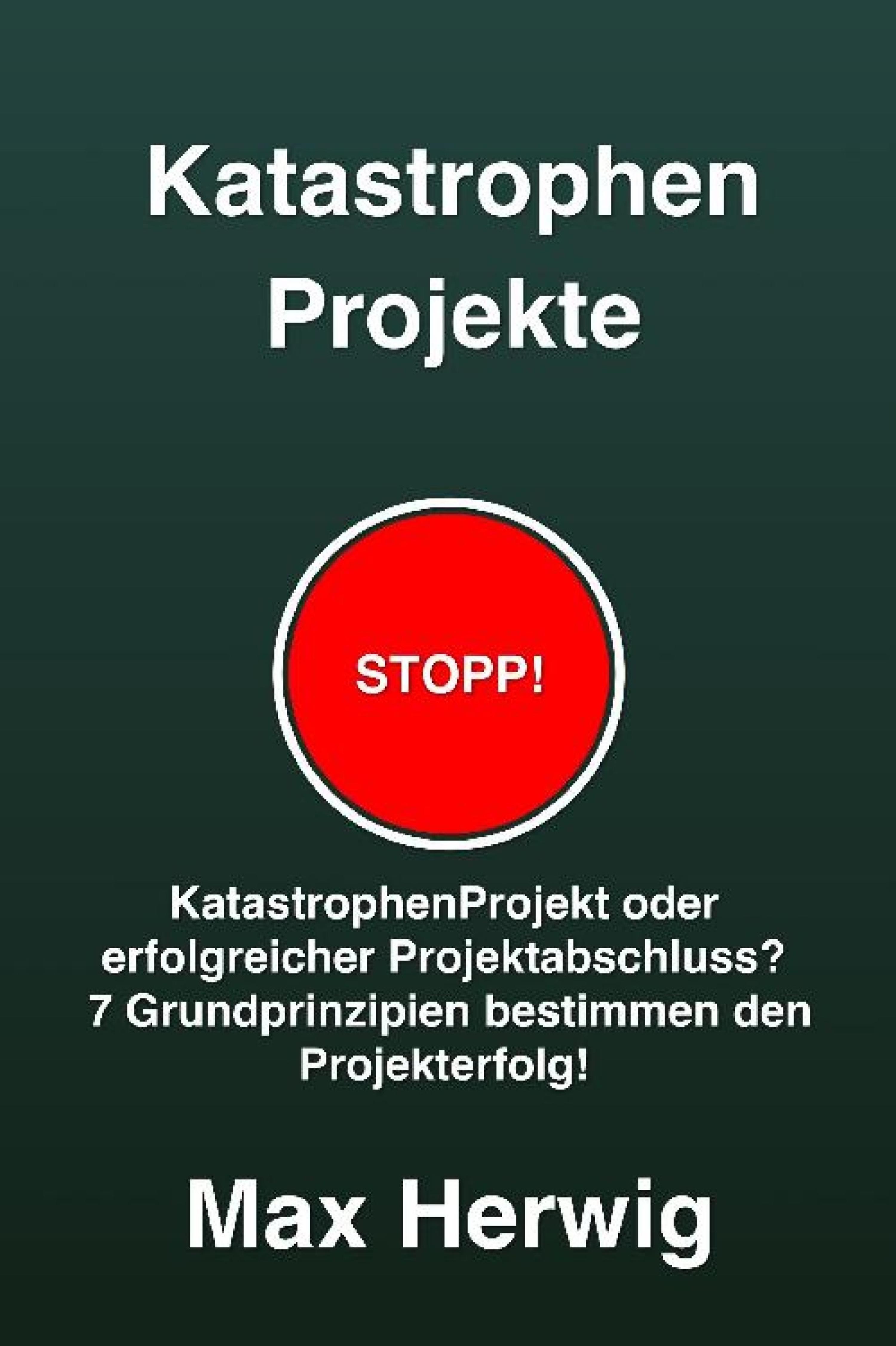 Обложка книги «KatastrophenProjekte»