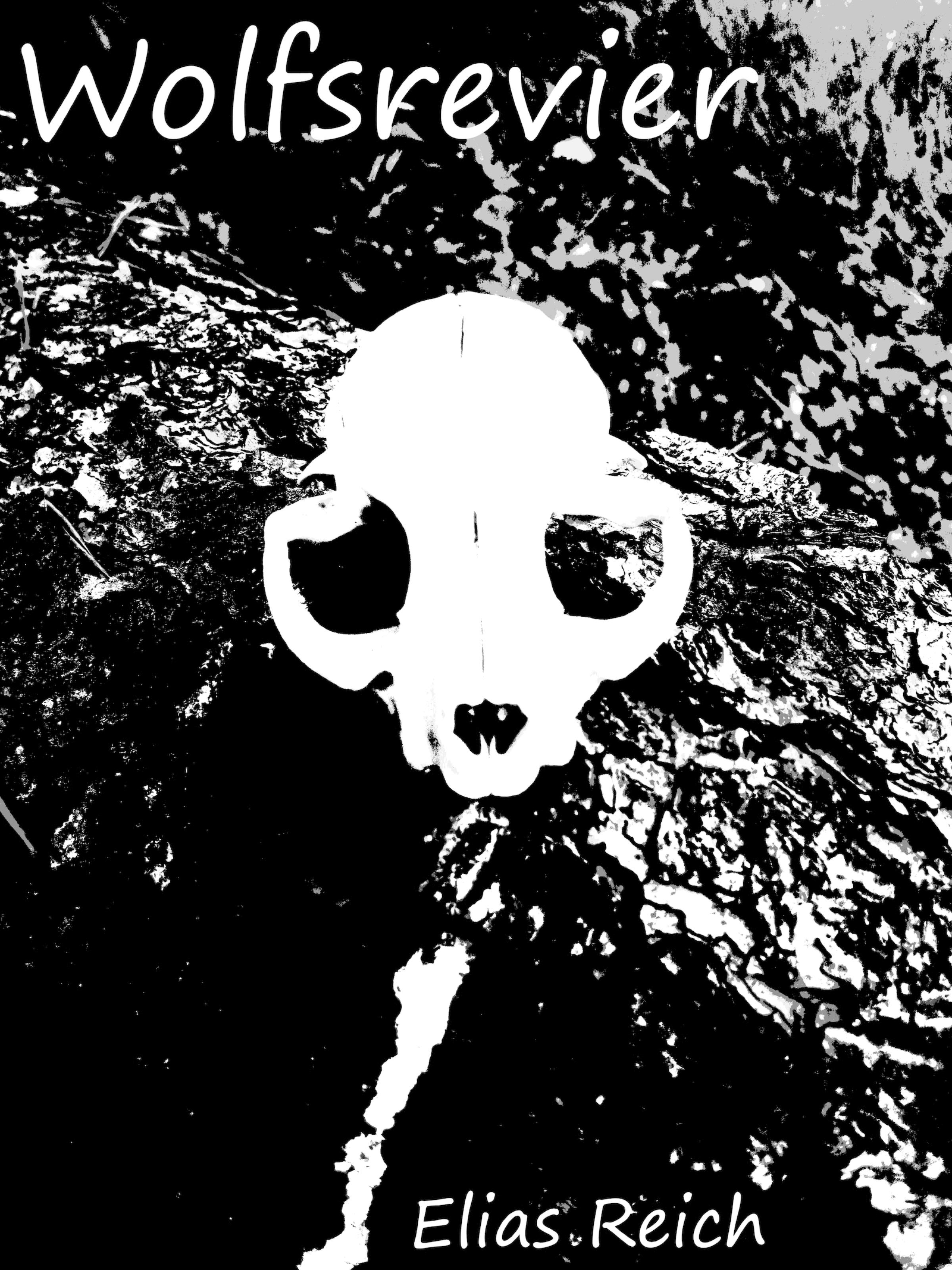 Обложка книги «Wolfsrevier»