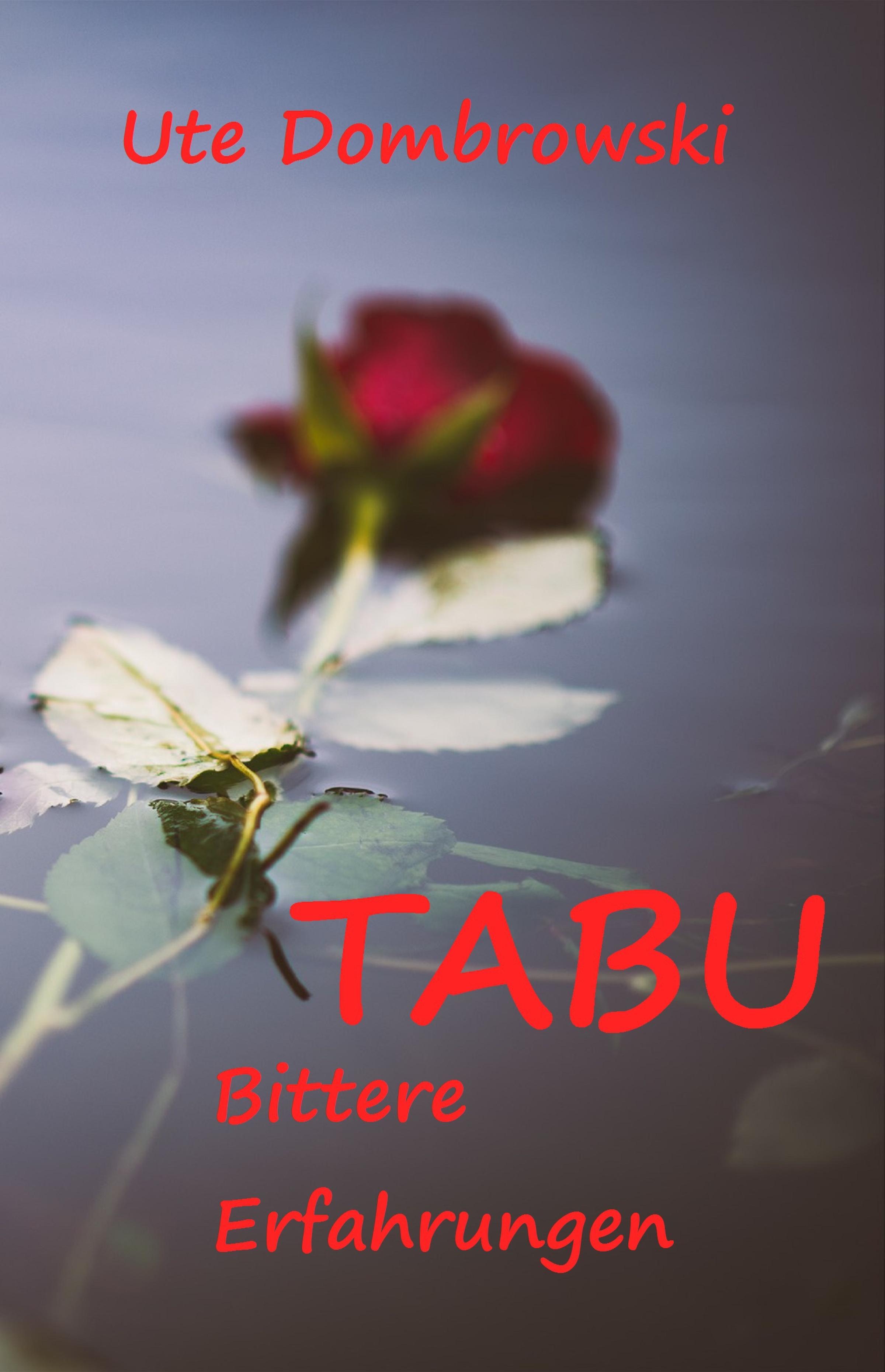 Обложка книги «Tabu Bittere Erfahrungen»