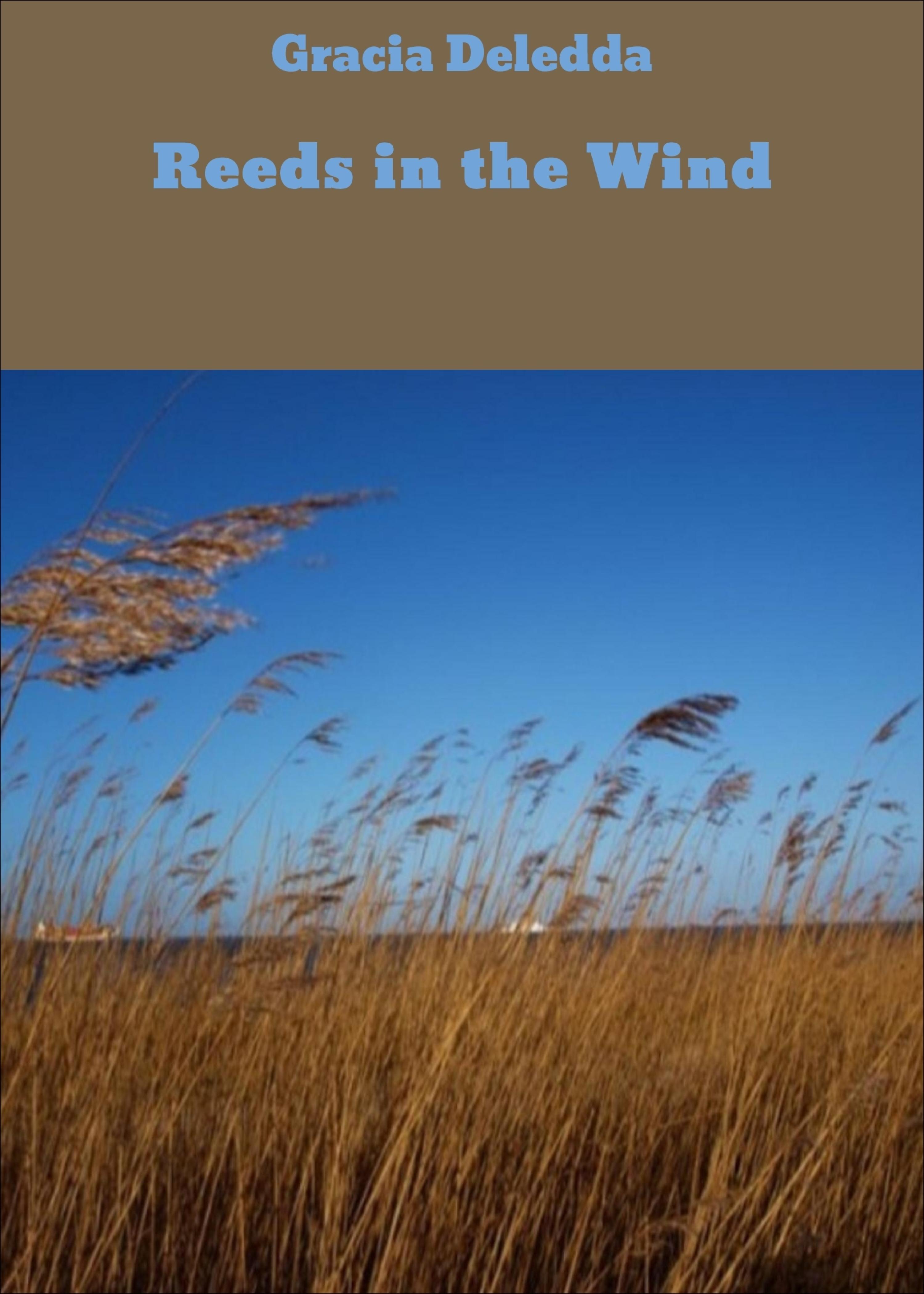 Обложка книги «Reeds in the Wind»