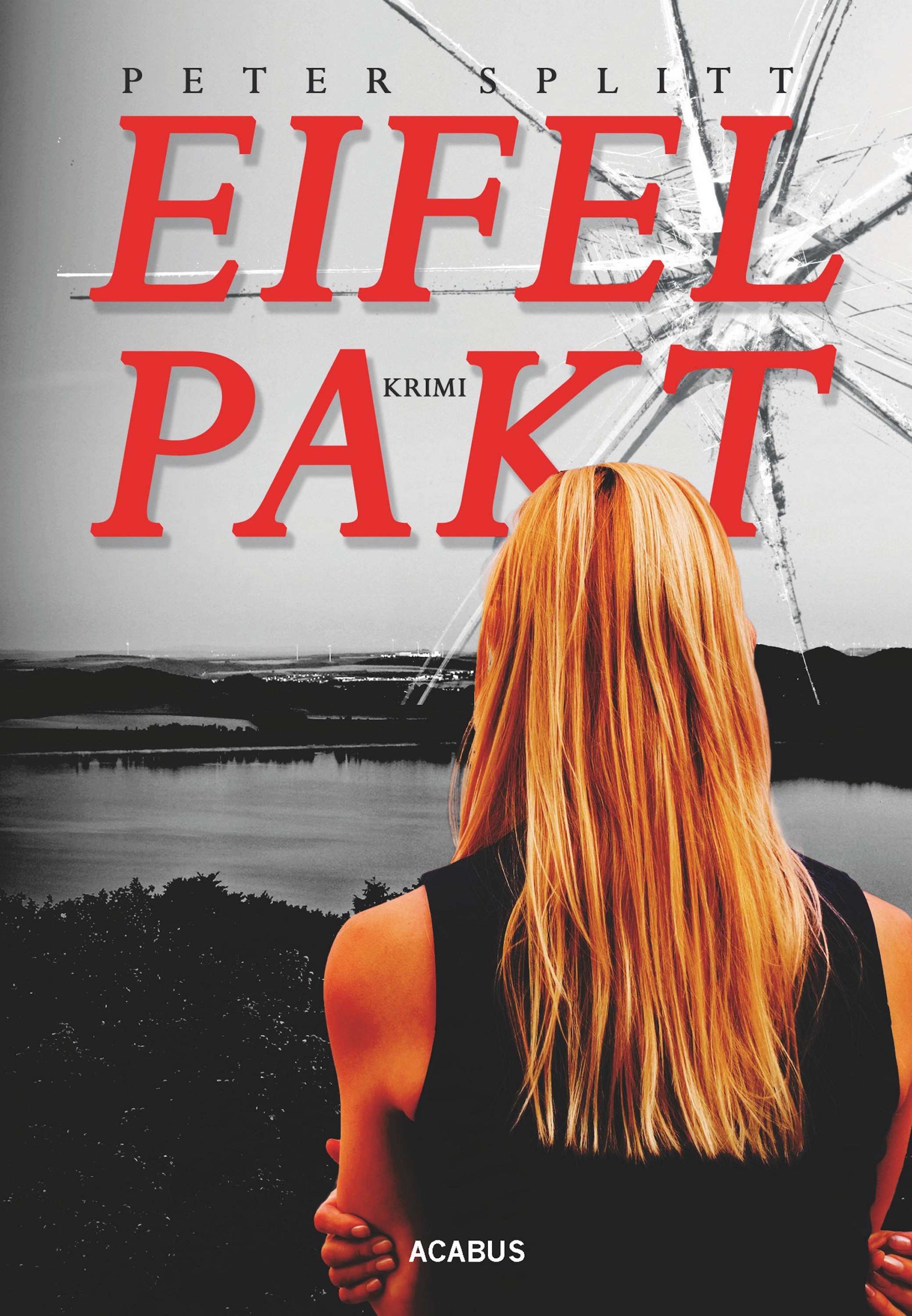Обложка книги «Eifel-Pakt»