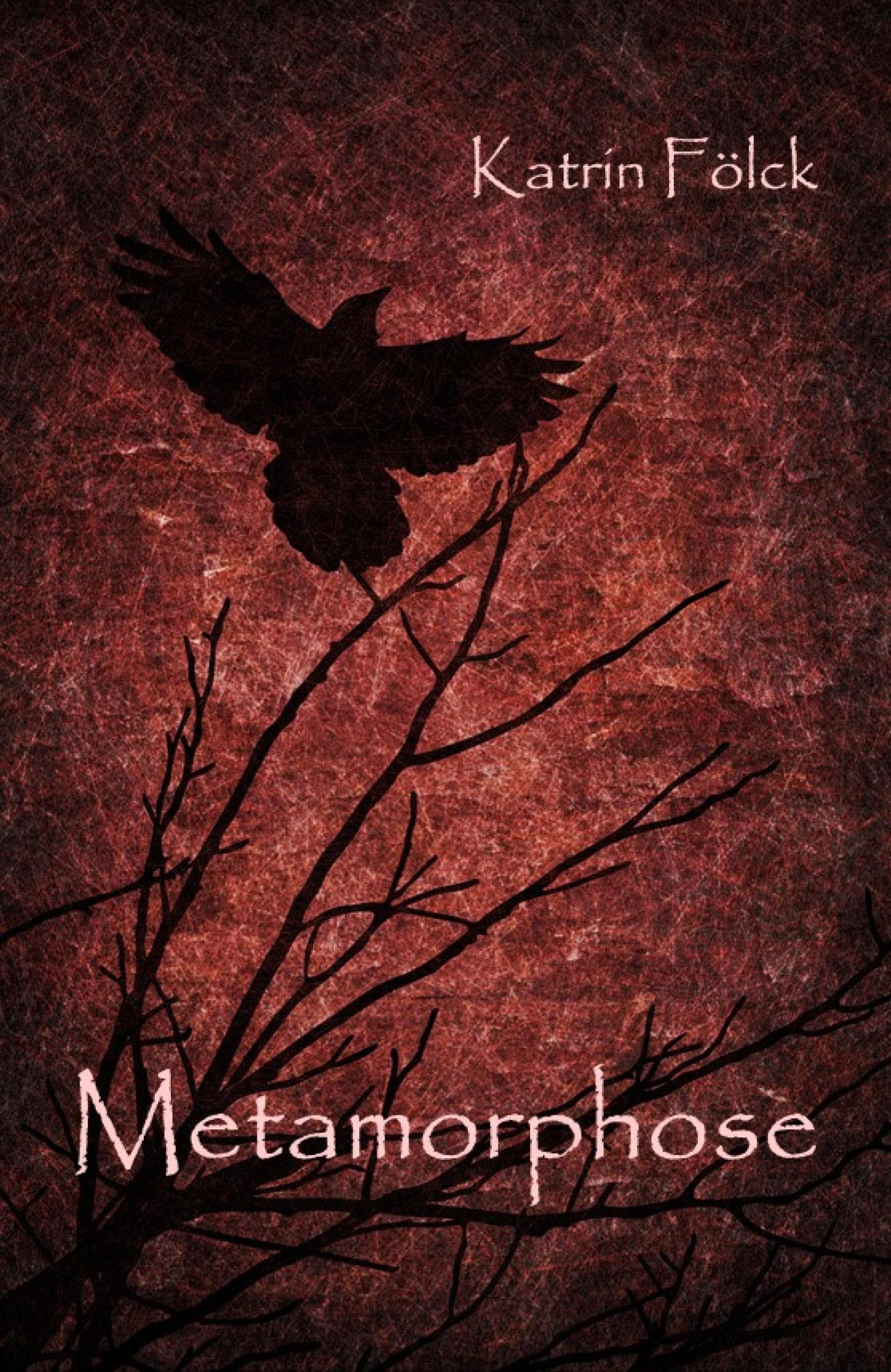 Обложка книги «Metamorphose»