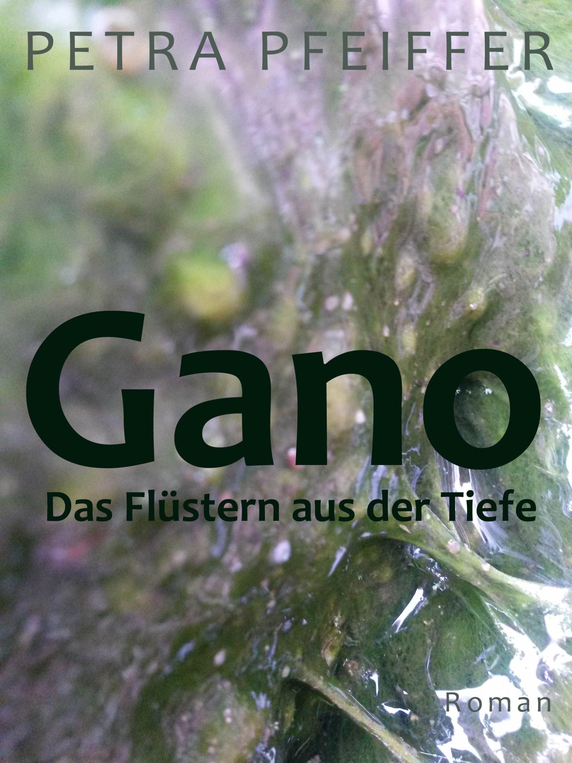Обложка книги «Gano»