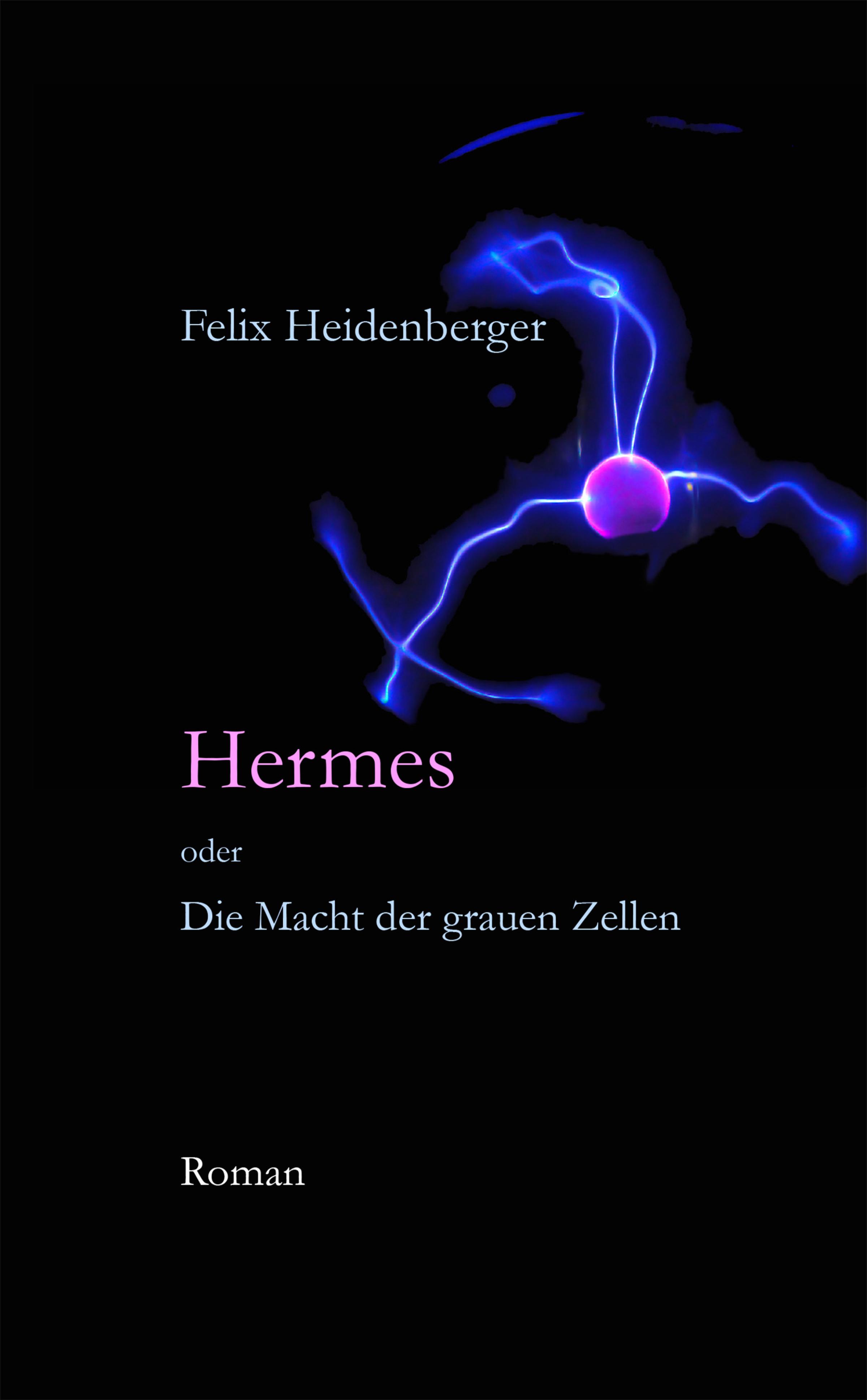 Обложка книги «Hermes oder Die Macht der grauen Zellen»