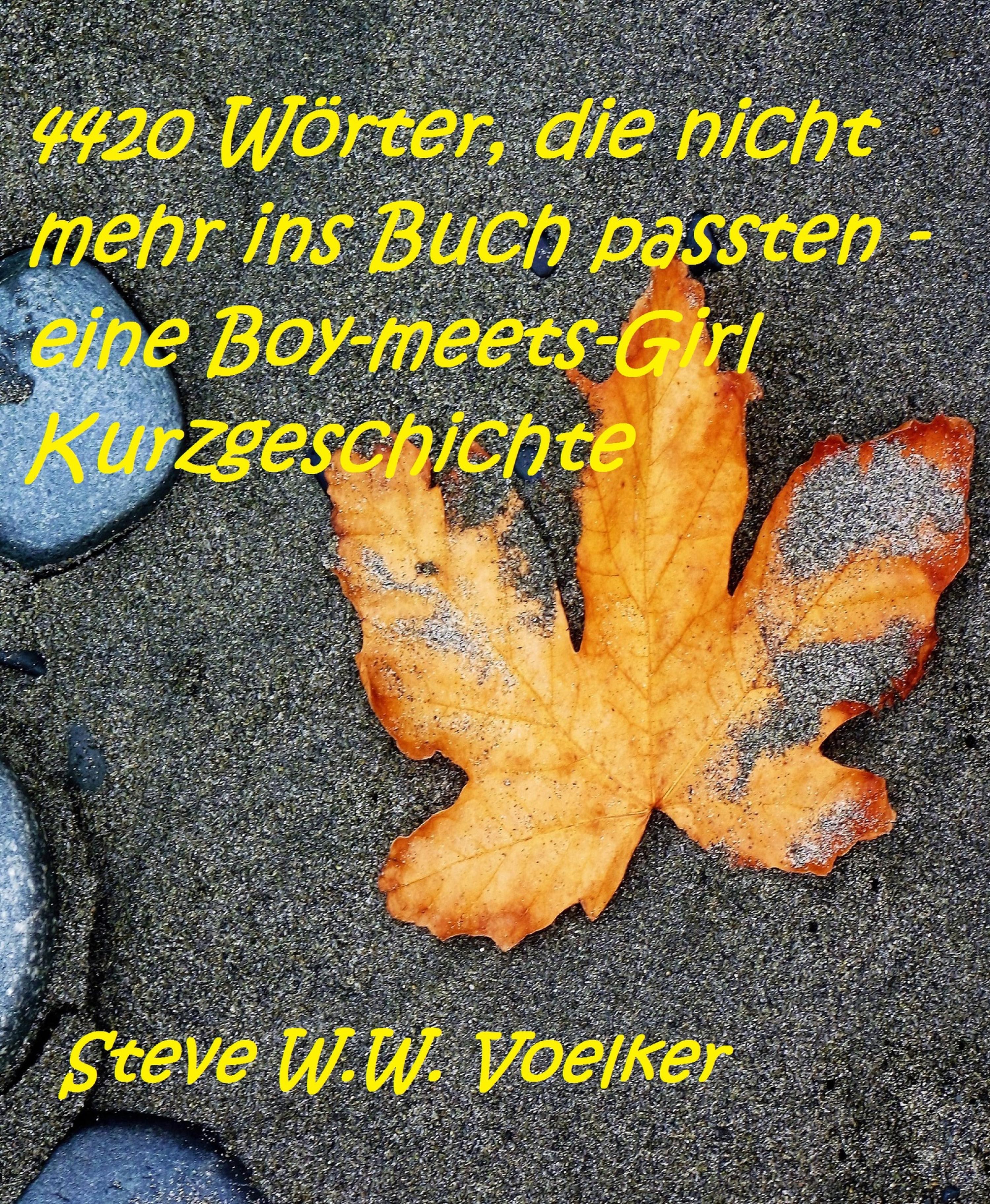 Обложка книги «4420 Wörter, die nicht mehr ins Buch passten - eine Boy-meets-Girl Kurzgeschichte»