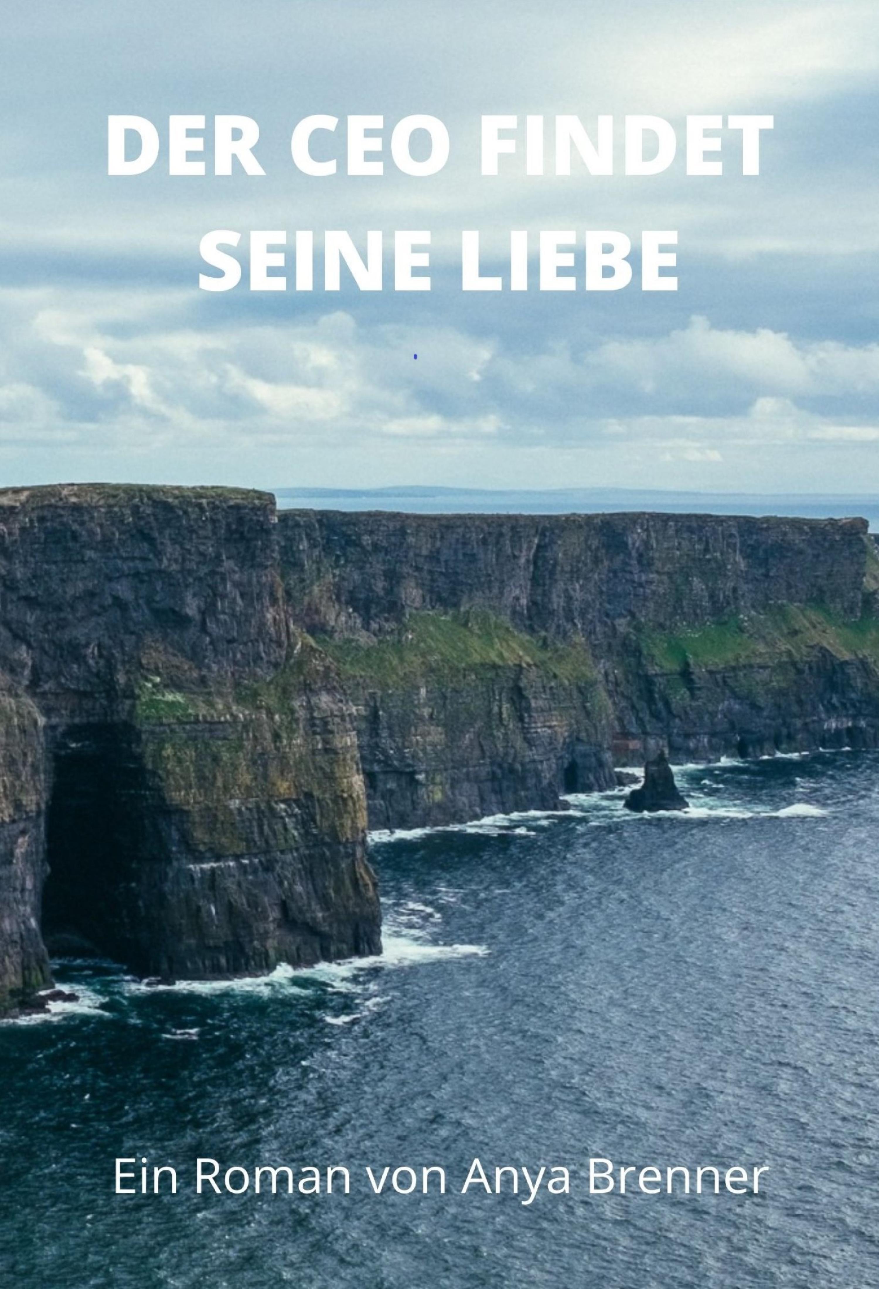 Обложка книги «Der CEO findet seine Liebe»