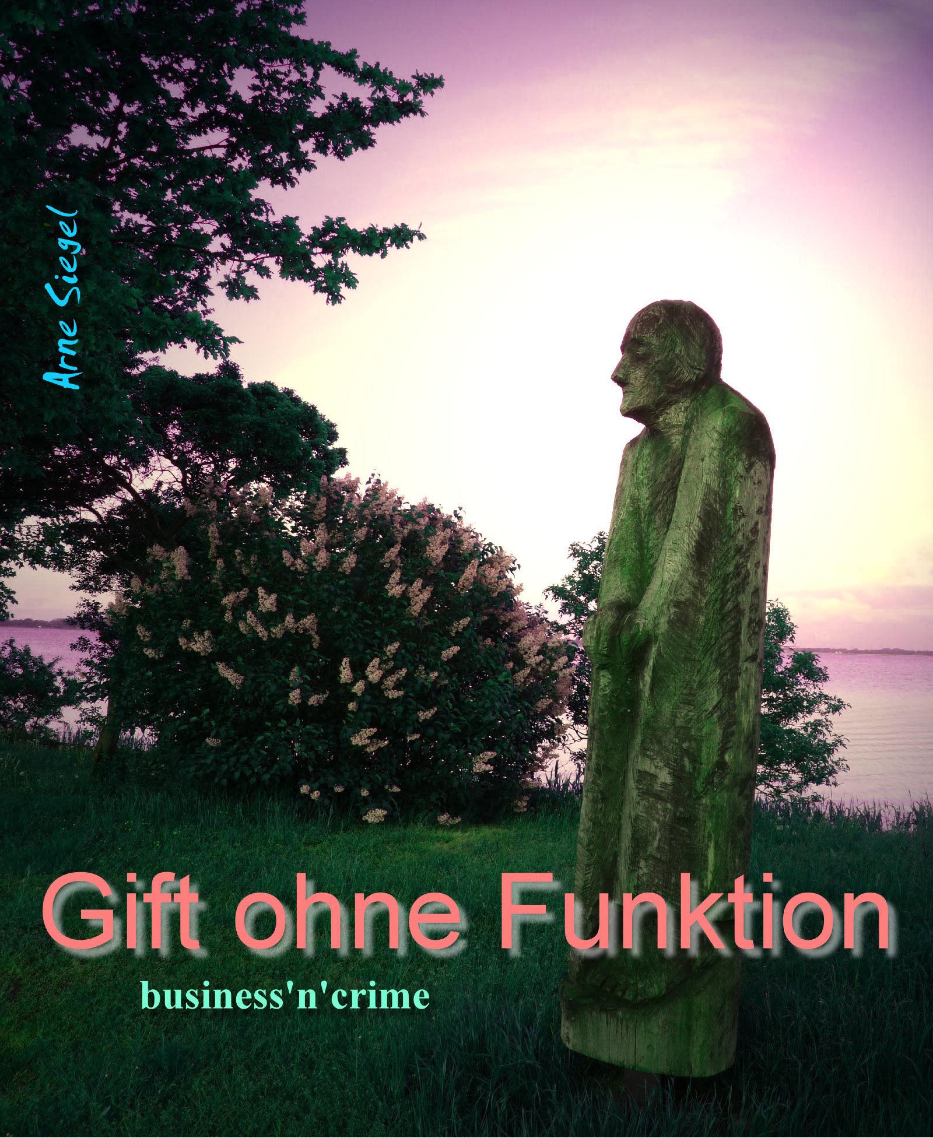 Обложка книги «Gift ohne Funktion»
