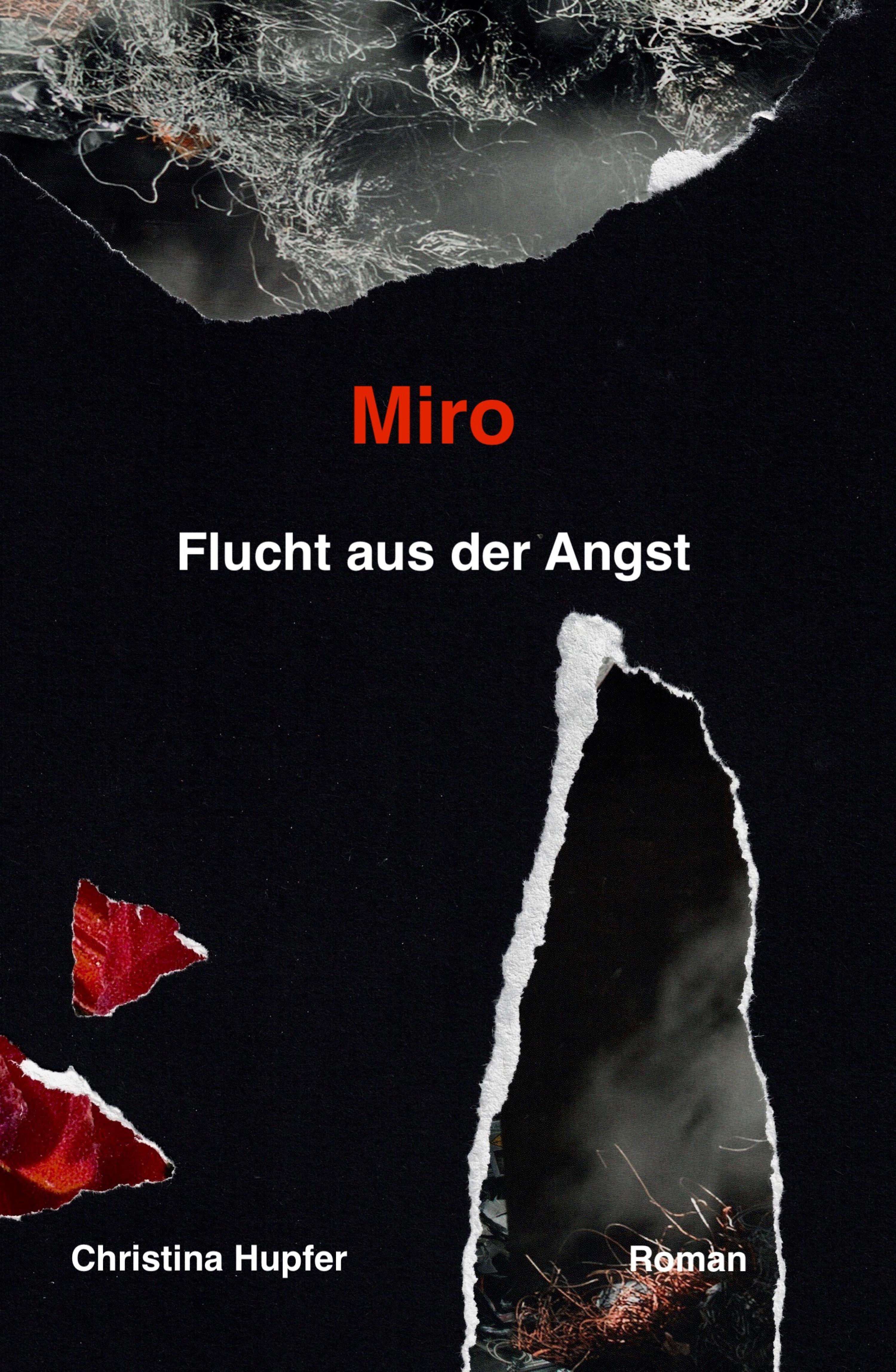 Обложка книги «Miro»