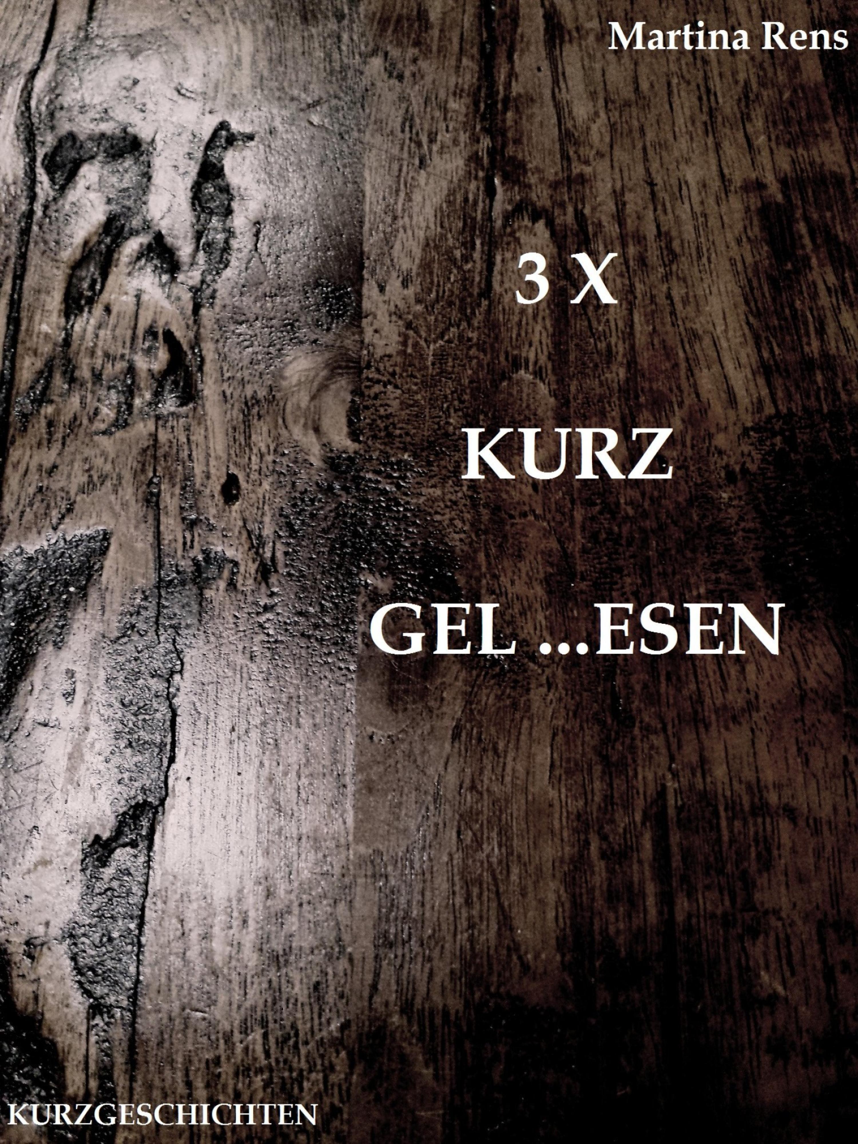 Обложка книги «3 X KURZ GEL...ESEN»