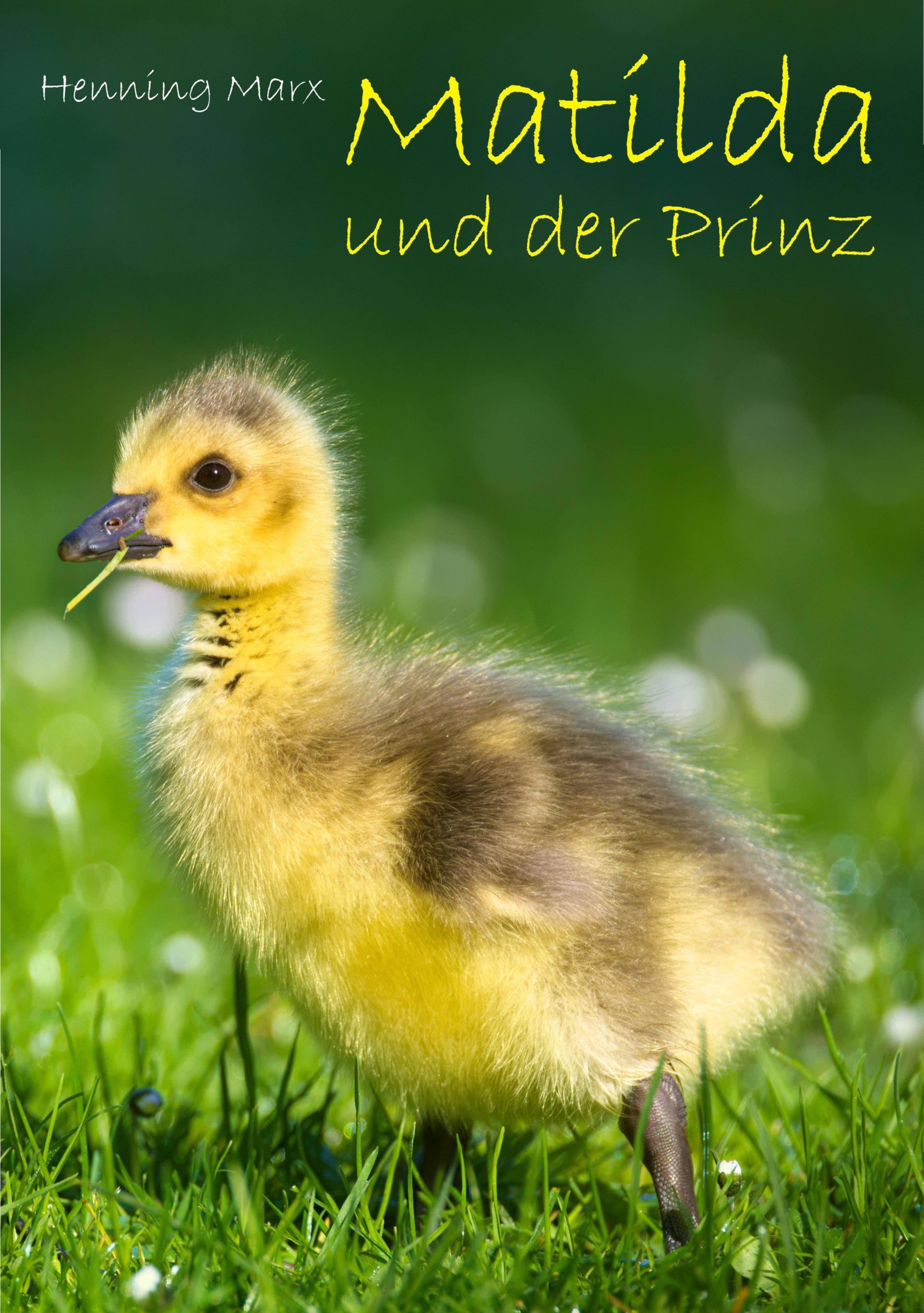 Обложка книги «Matilda und der Prinz»