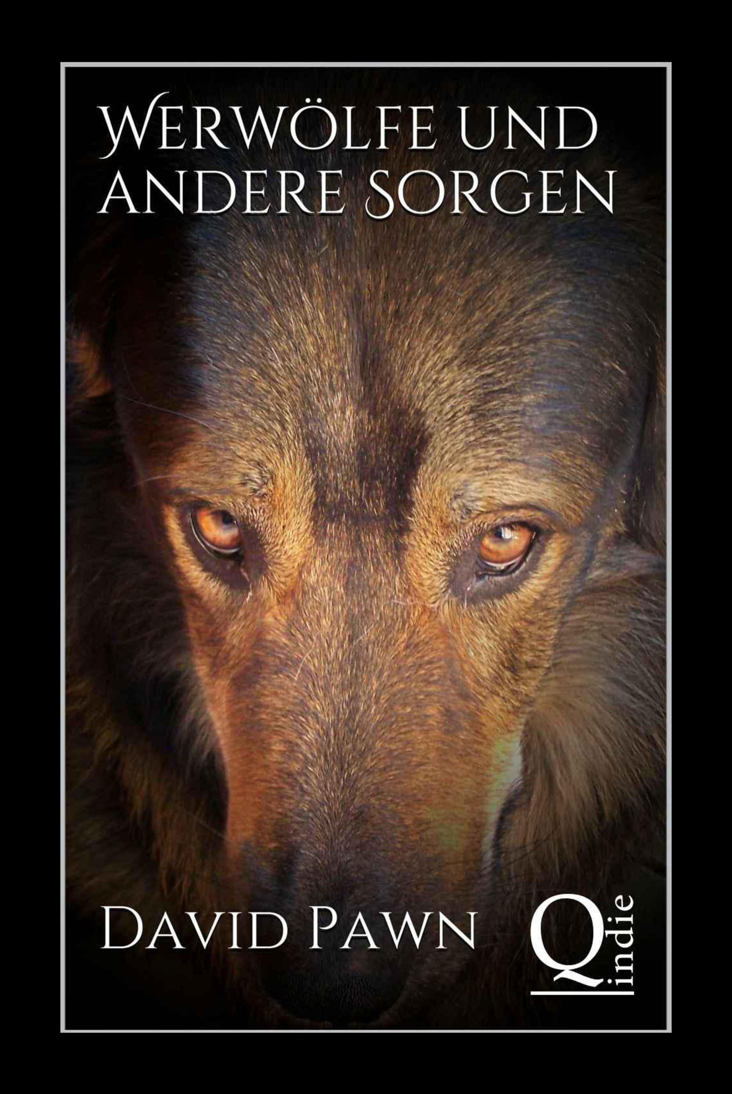 Обложка книги «Werwölfe und andere Sorgen»