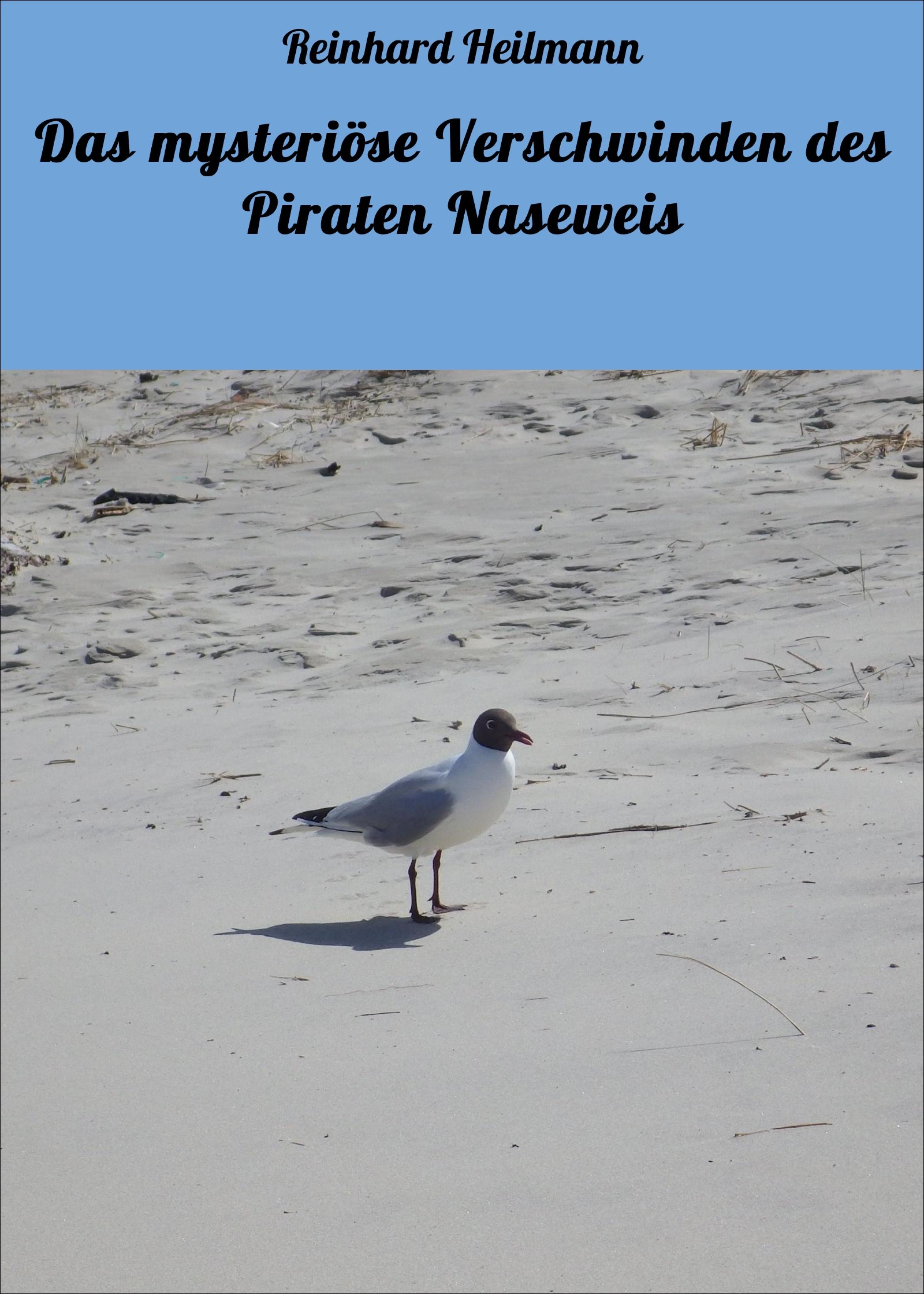 Обложка книги «Das mysteriöse Verschwinden des Piraten Naseweis»