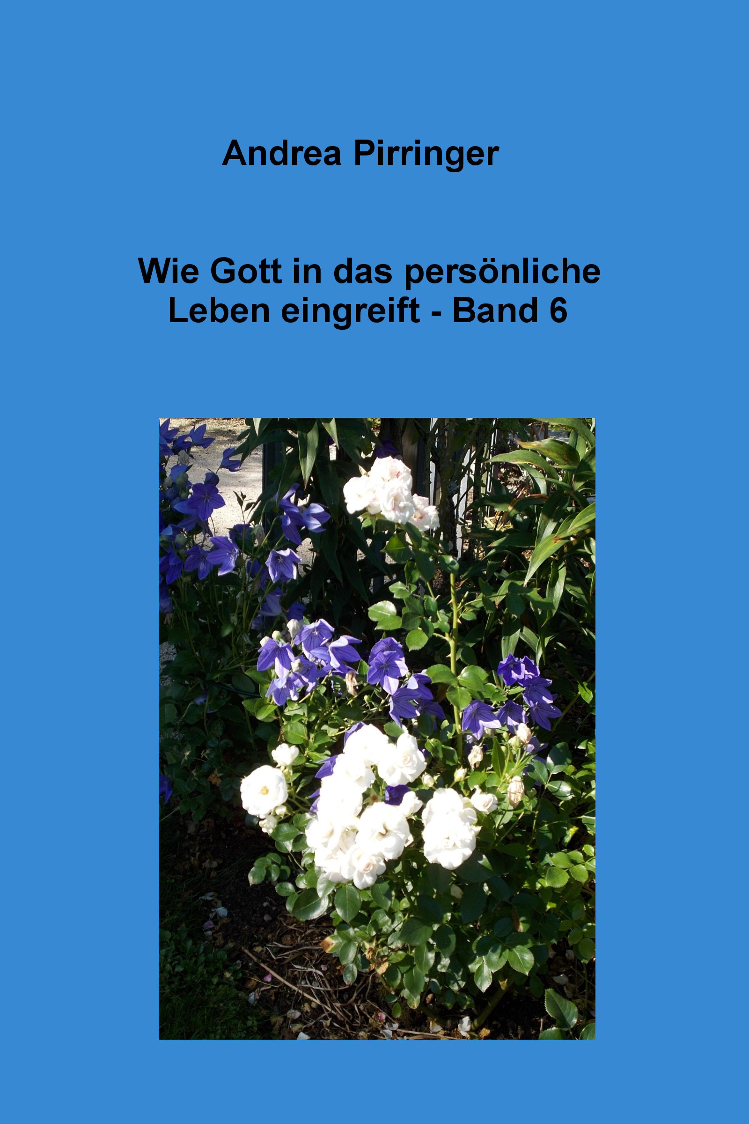 Обложка книги «Wie Gott in das persönliche Leben eingreift - Band 6»