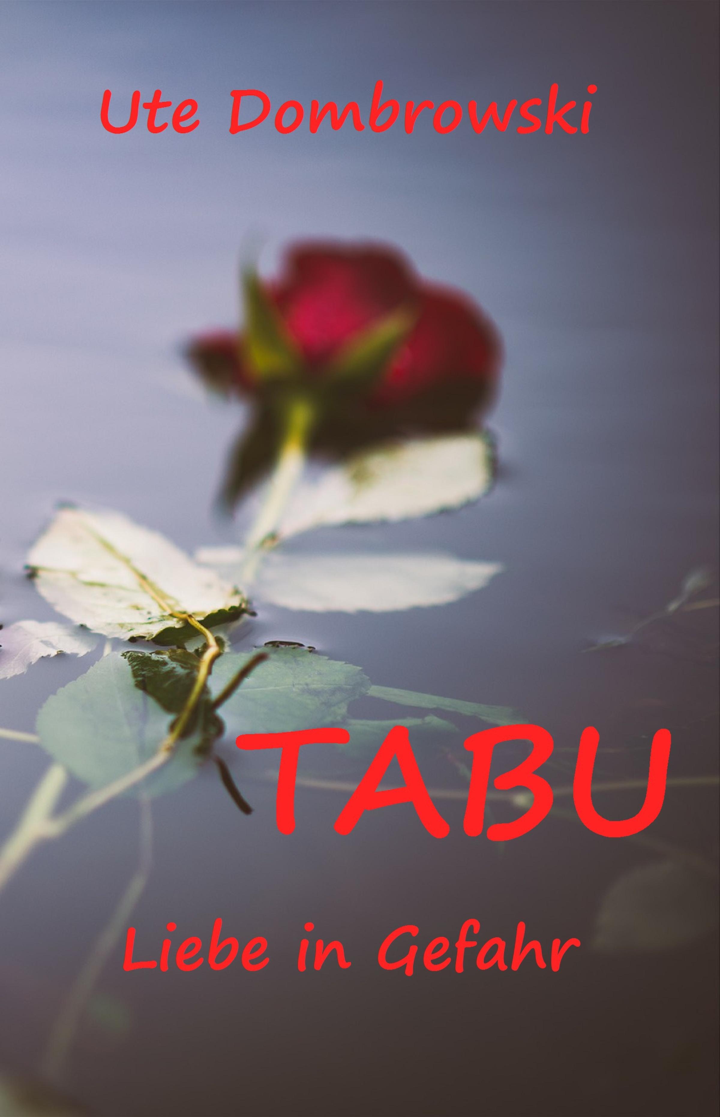 Обложка книги «Tabu Liebe in Gefahr»