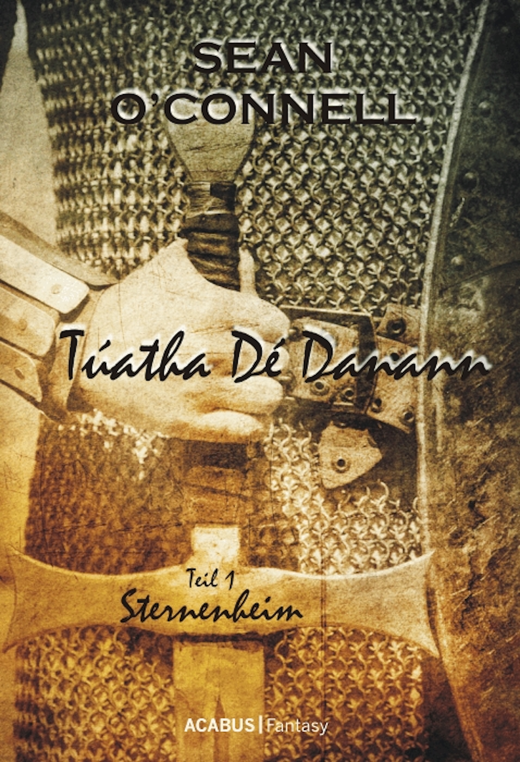 Обложка книги «Túatha Dé Danann. Sternenheim»