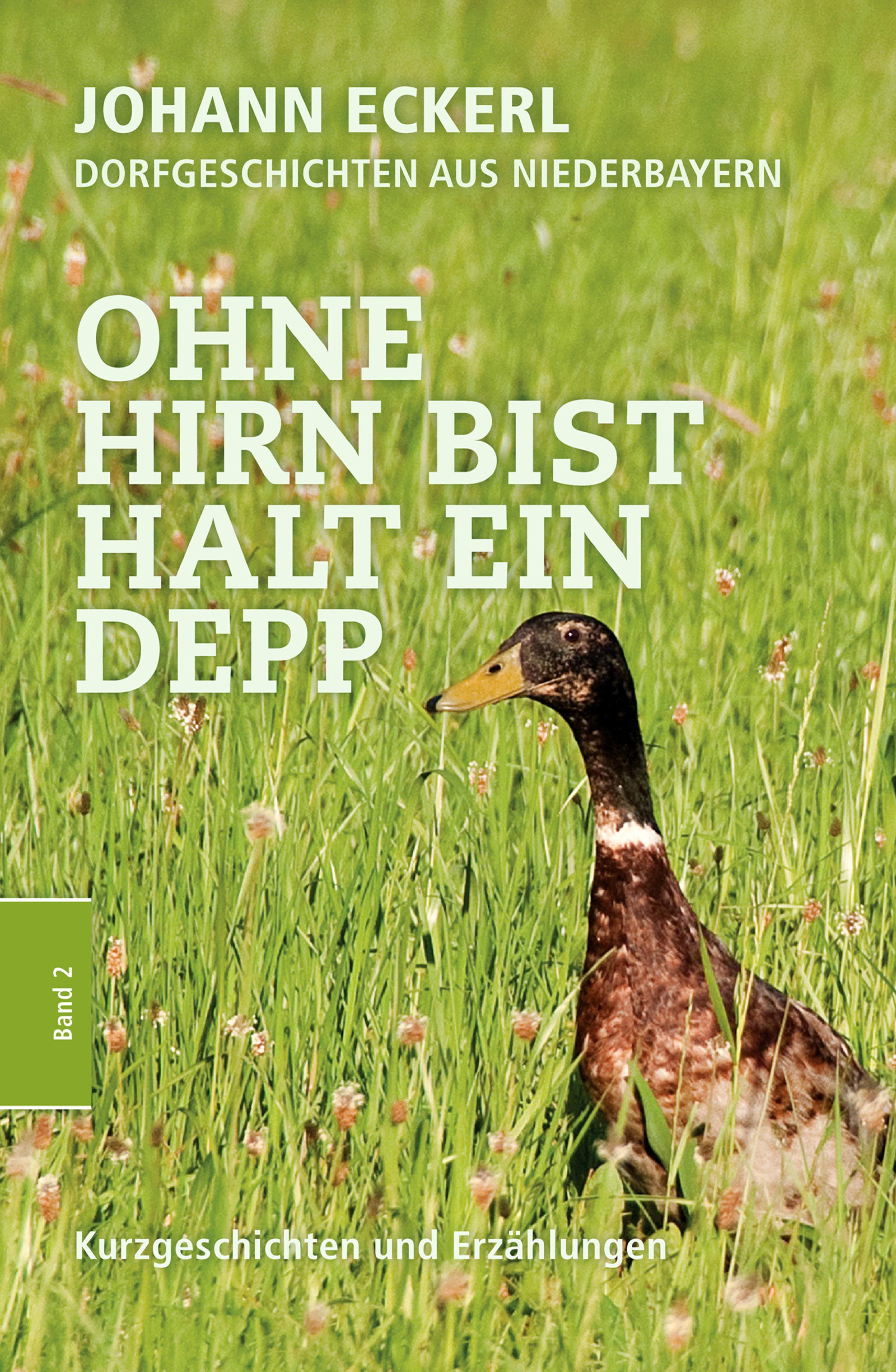 Обложка книги «Ohne Hirn bist halt ein Depp»