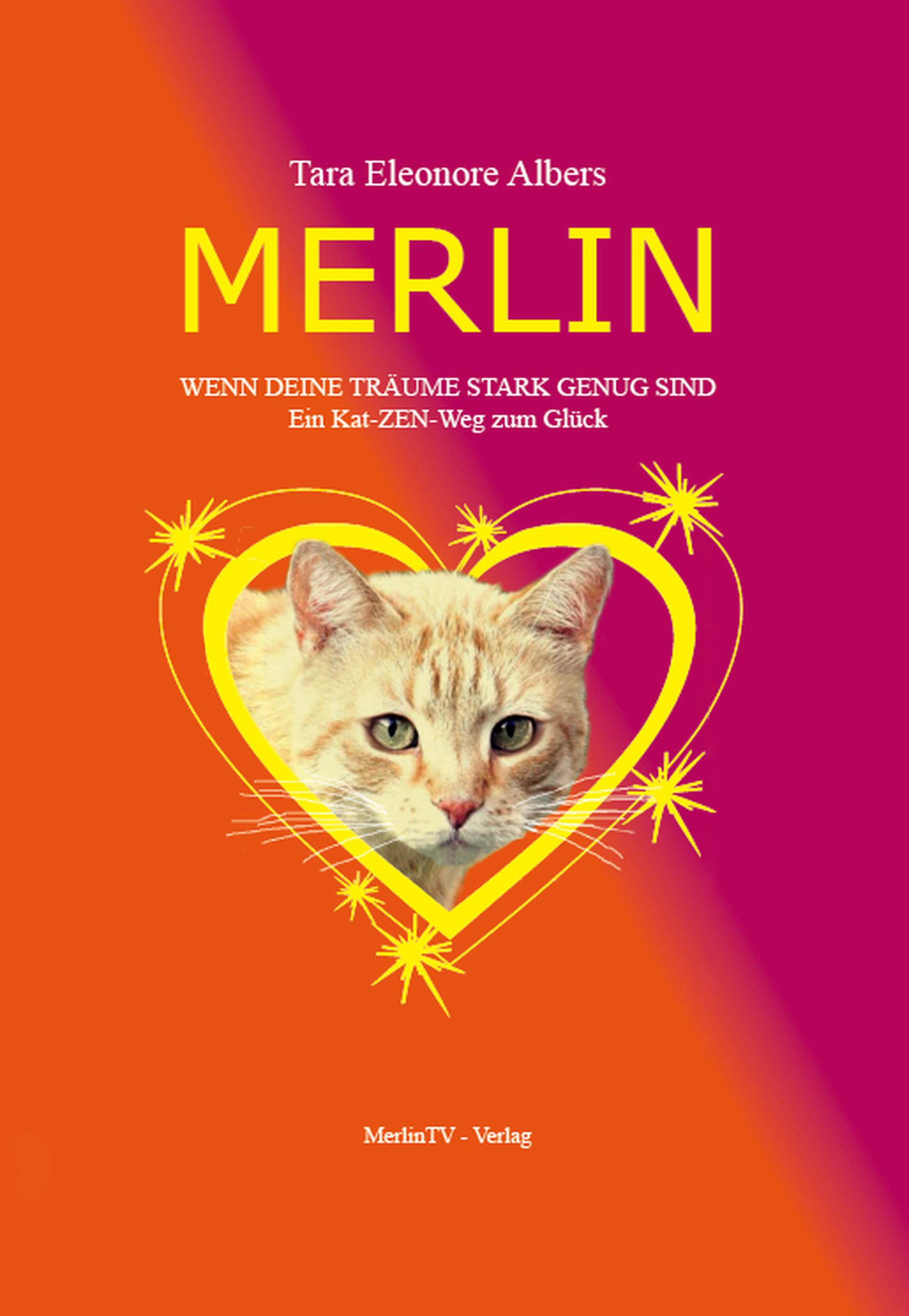 Обложка книги «Merlin»