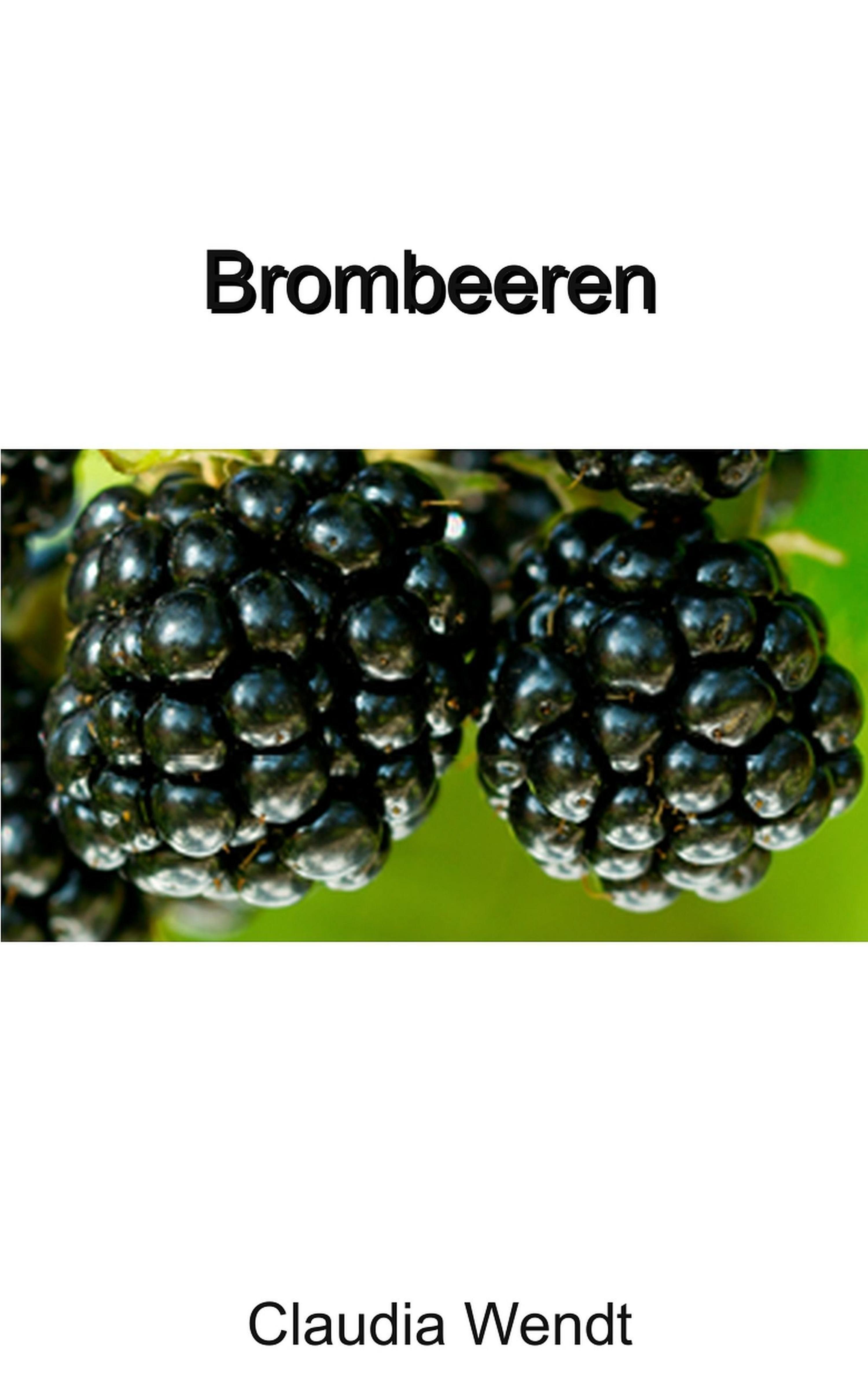 Обложка книги «Brombeeren»