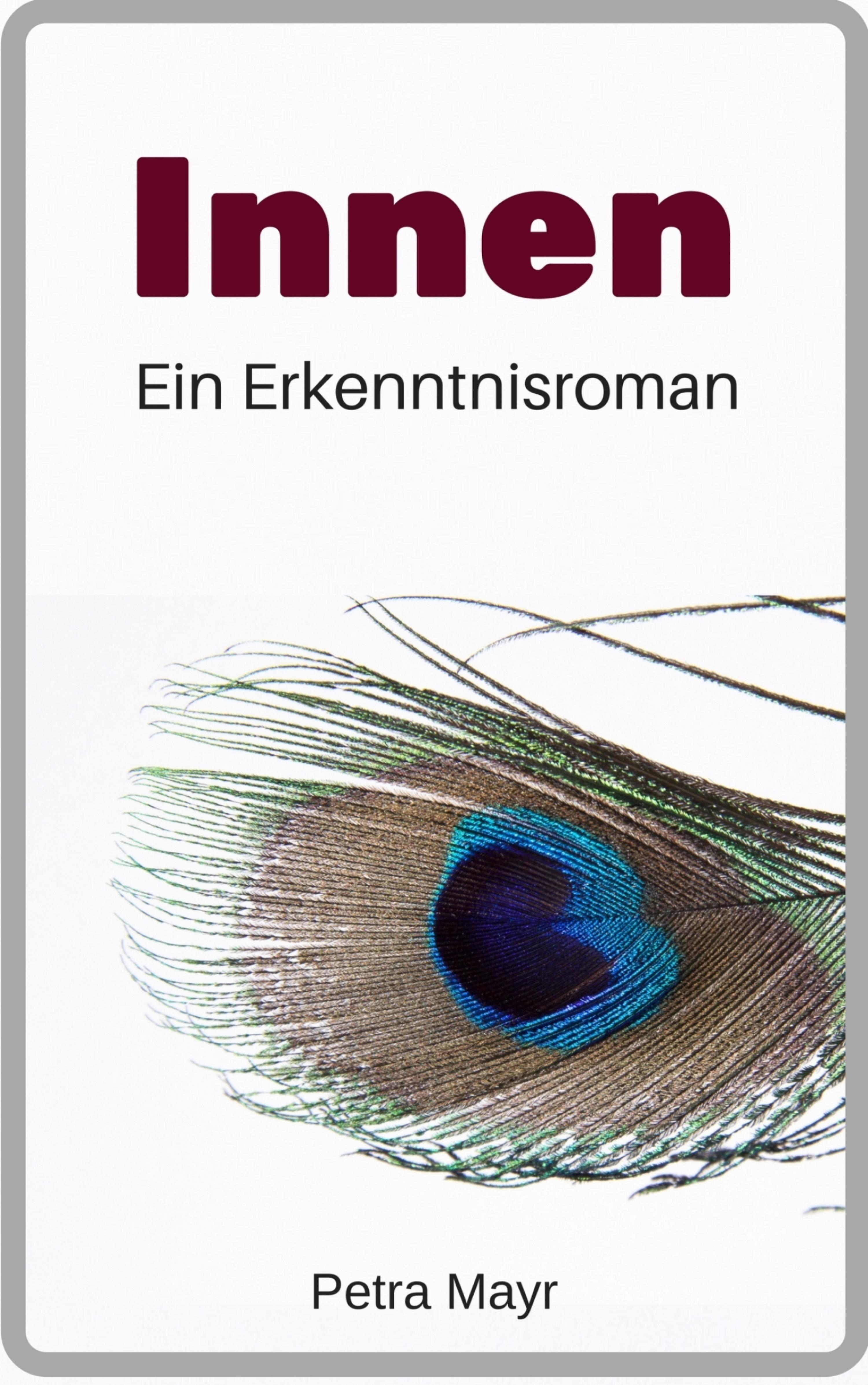 Обложка книги «Innen»
