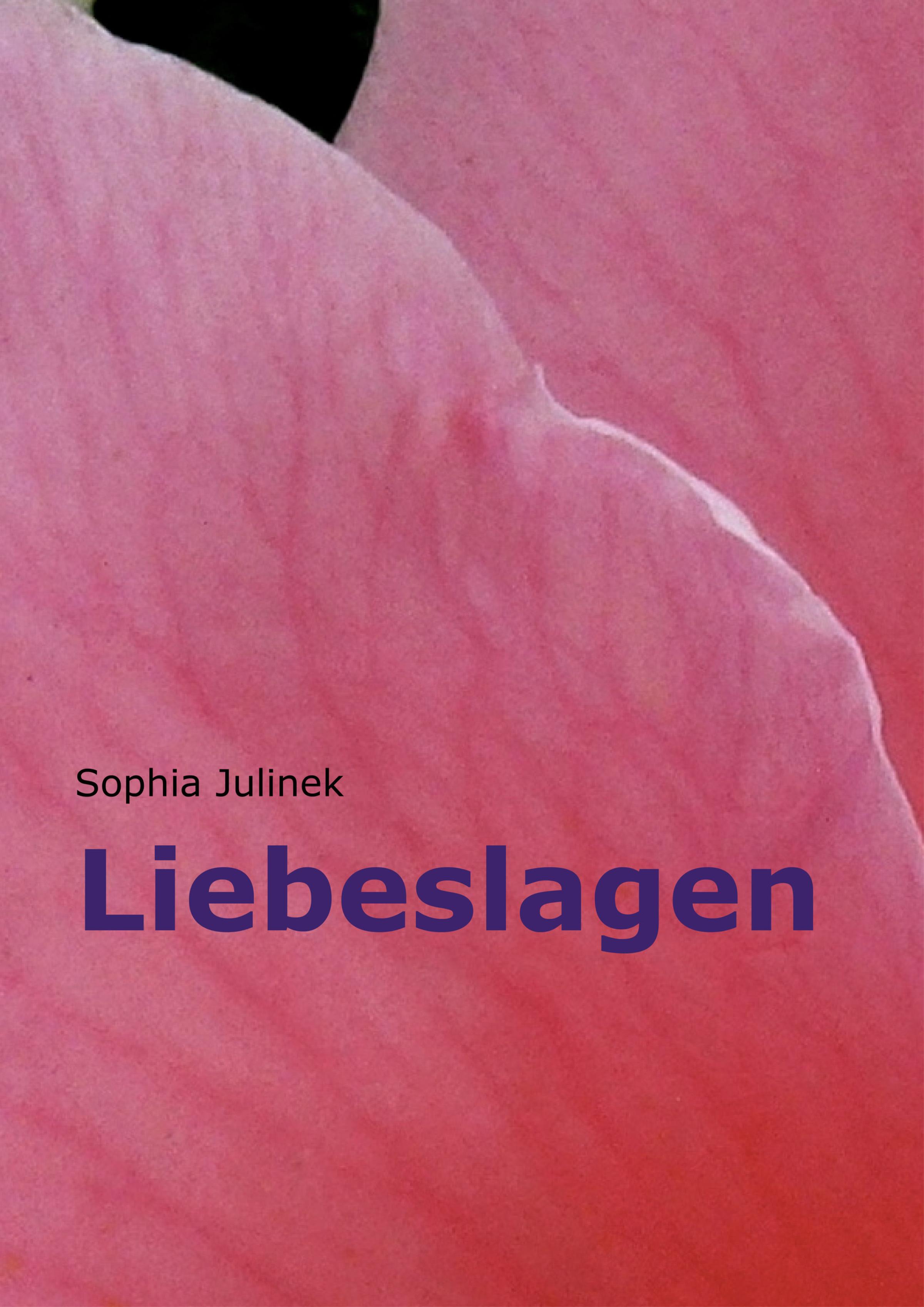 Обложка книги «Liebeslagen»