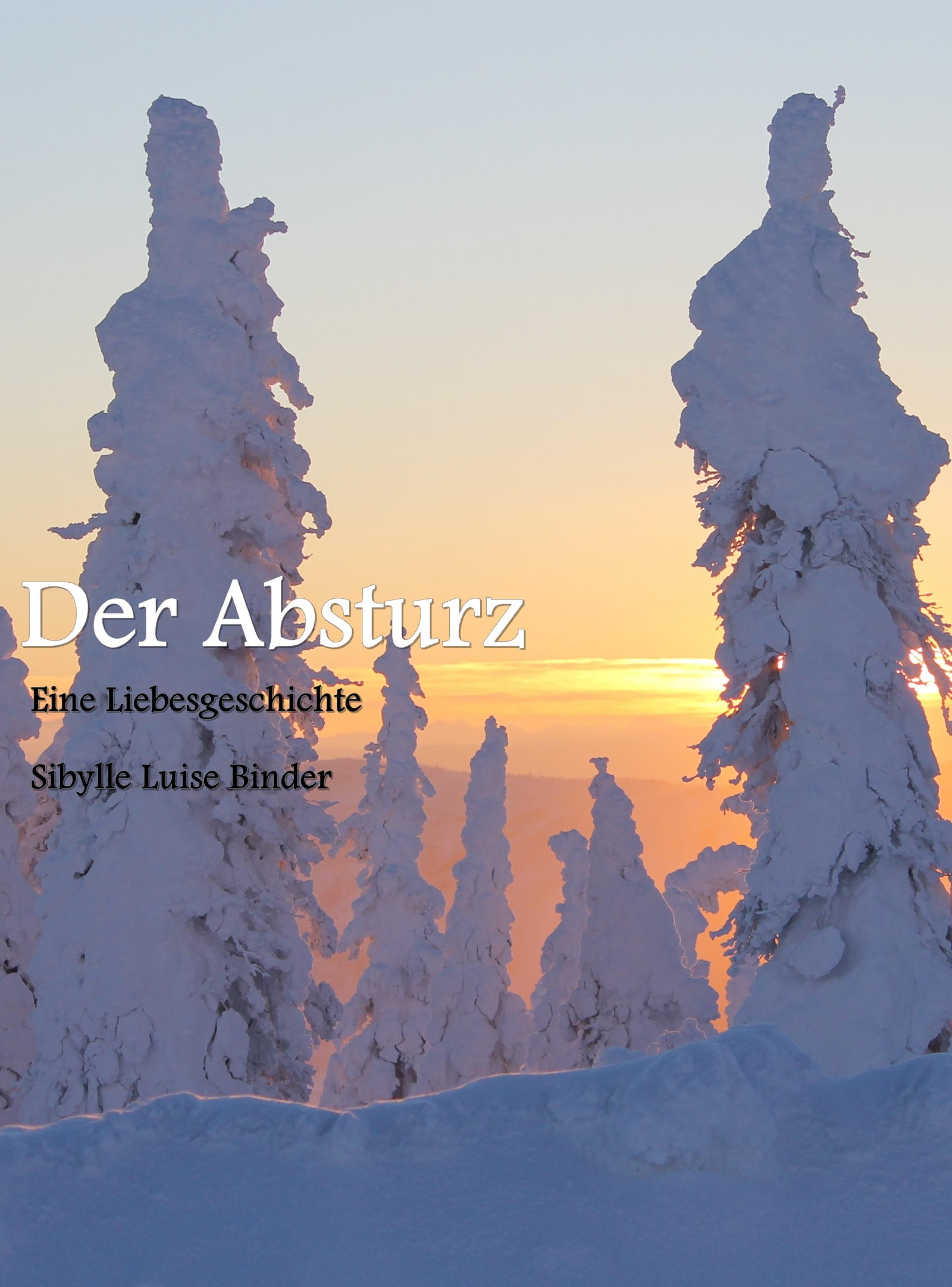 Обложка книги «Der Absturz»