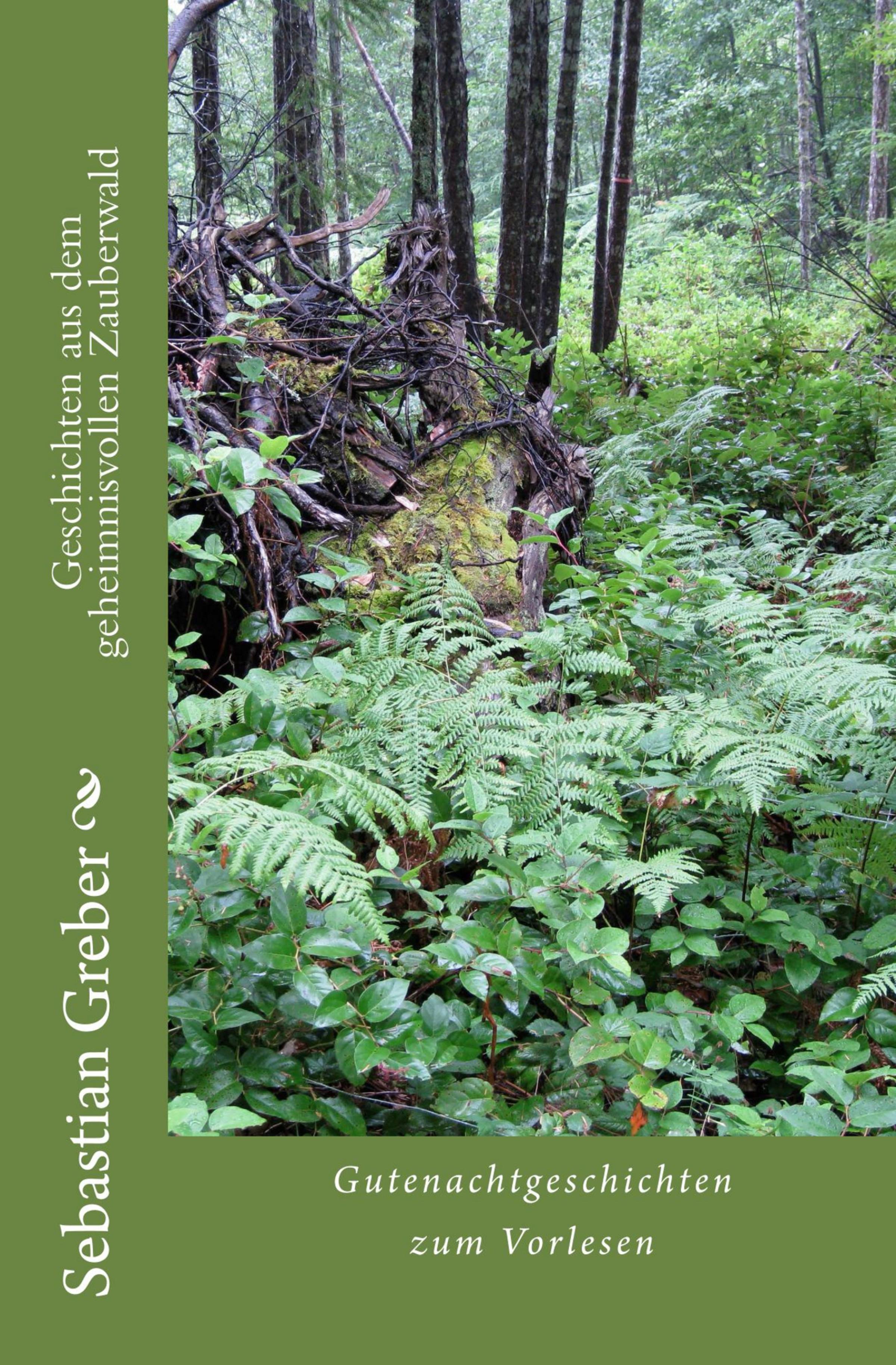 Обложка книги «Geschichten aus dem geheimnisvollen Zauberwald»