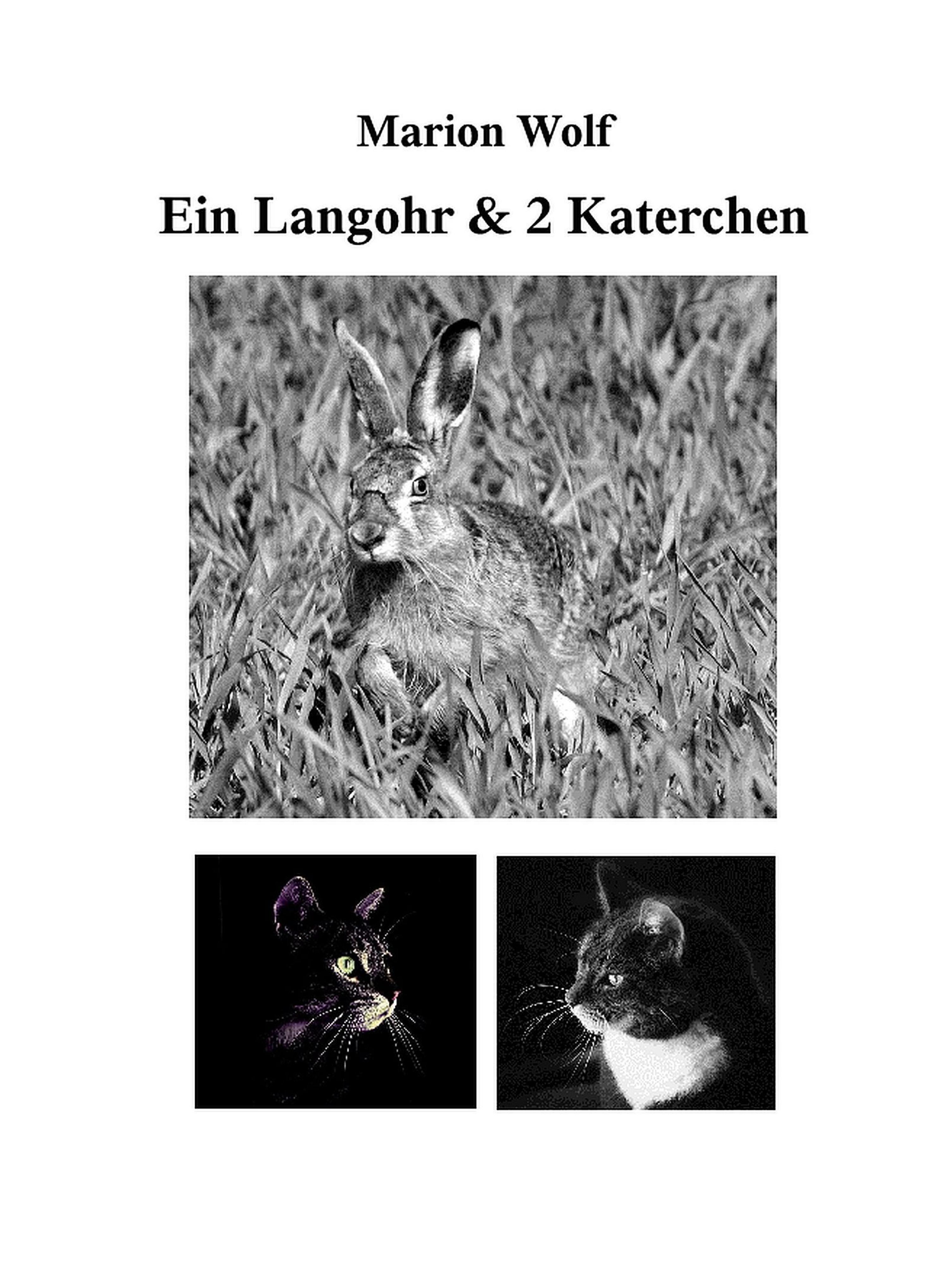 Обложка книги «Ein Langohr & 2 Katerchen»